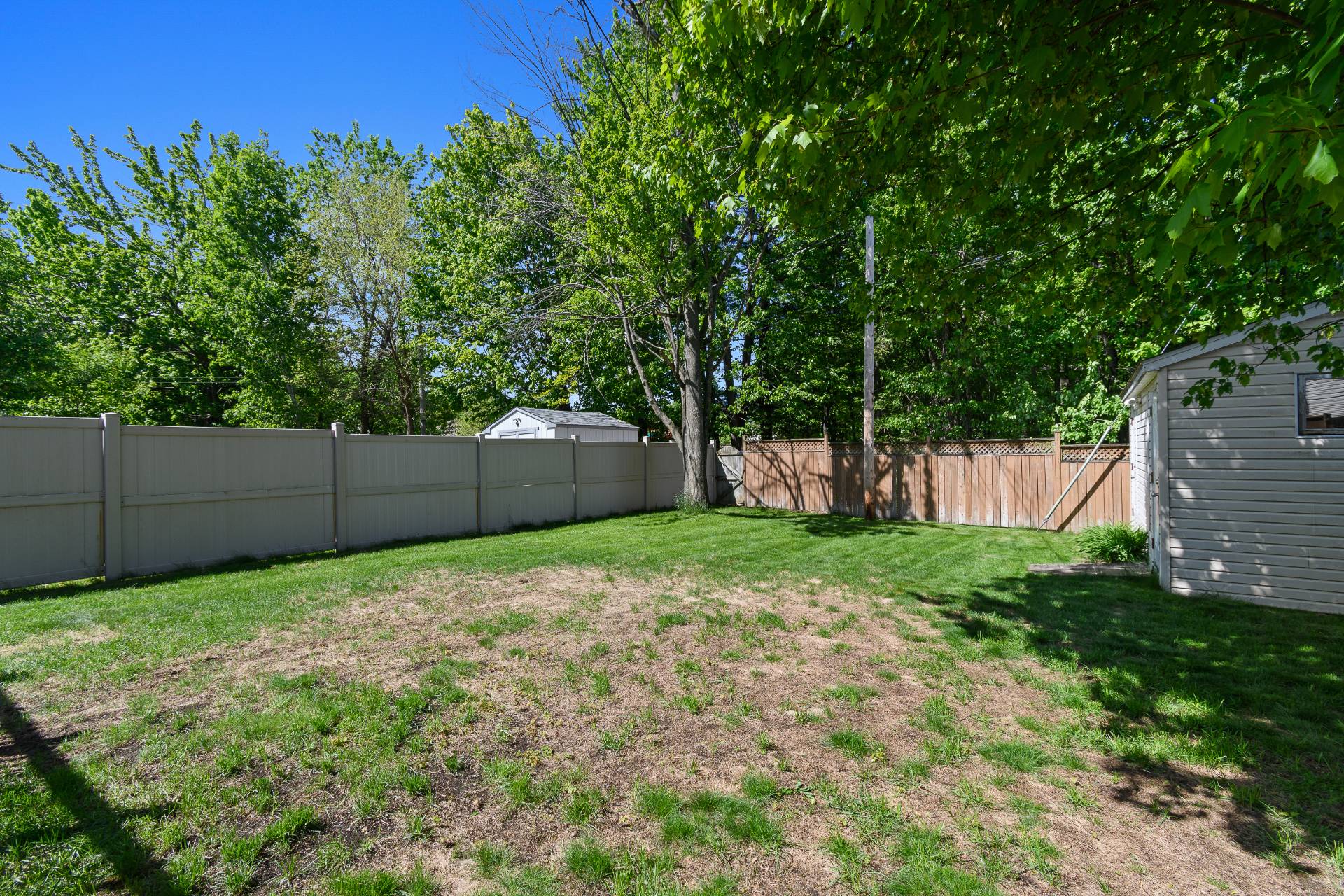 Backyard