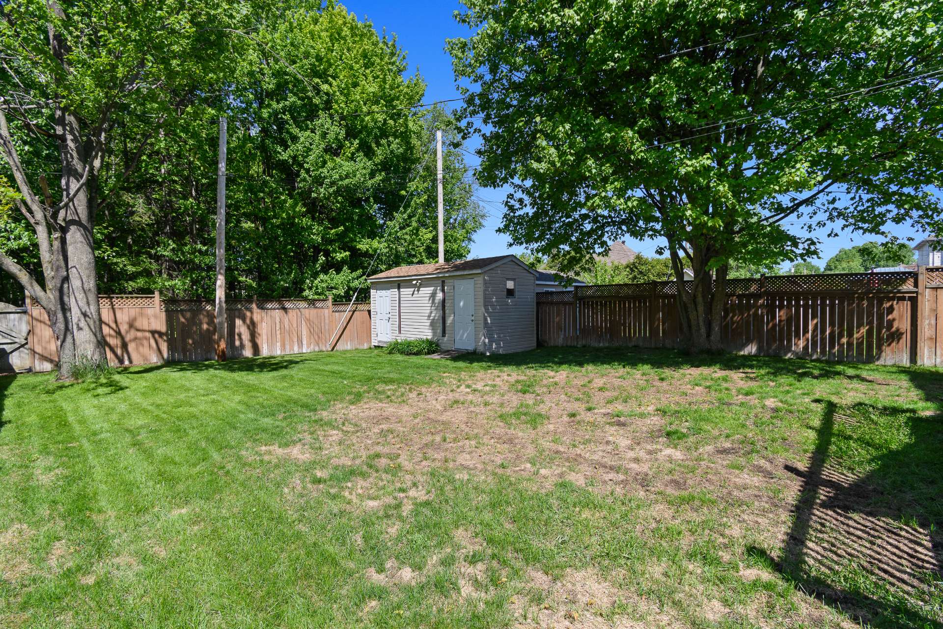 Backyard