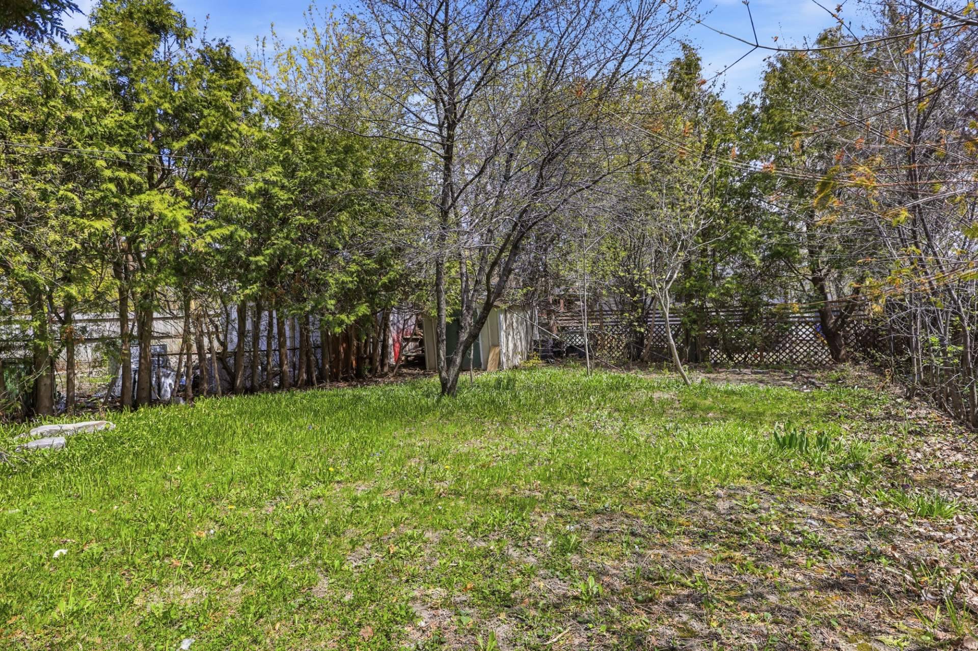 Backyard