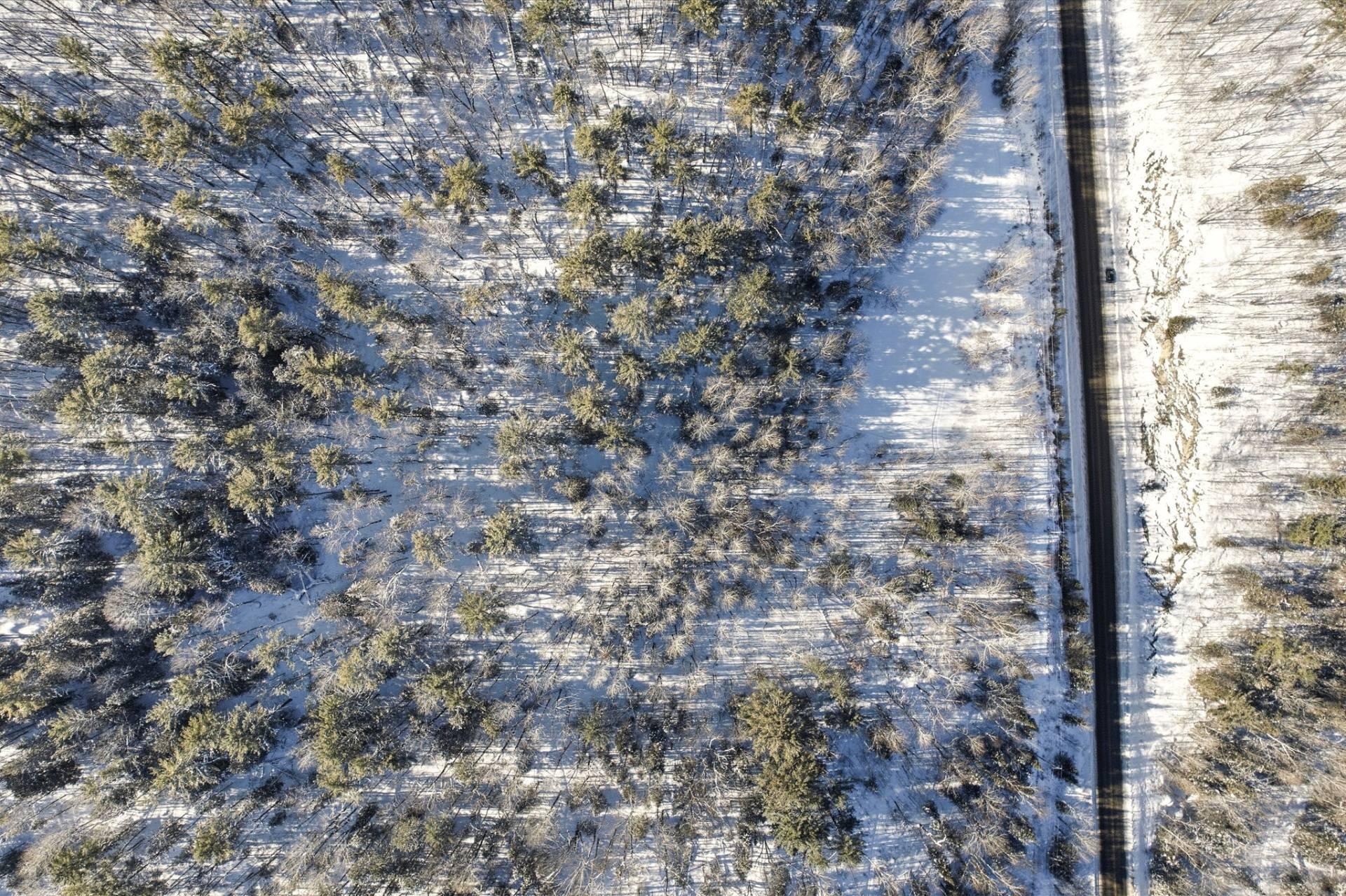 Terre/Terrain