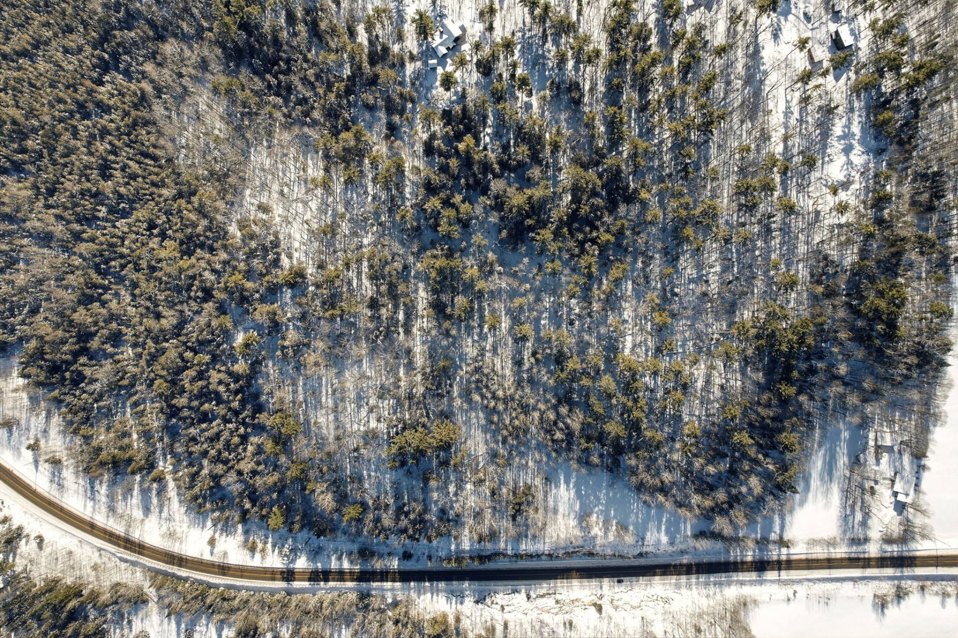 Terre/Terrain