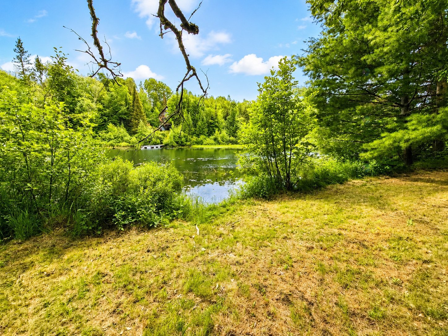 Bord de l'eau