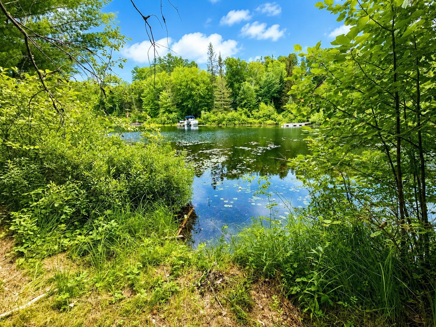 Bord de l'eau