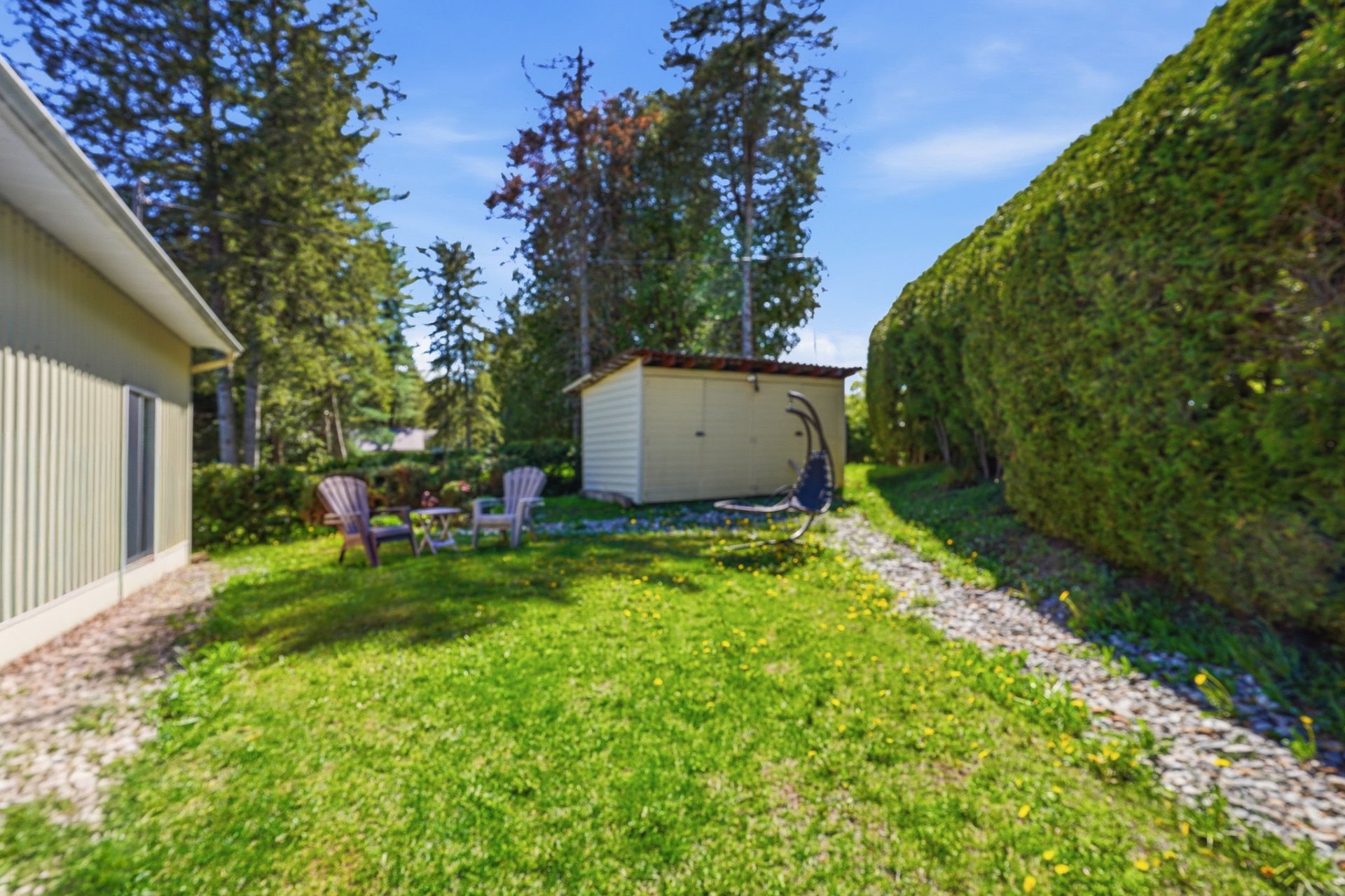 Backyard