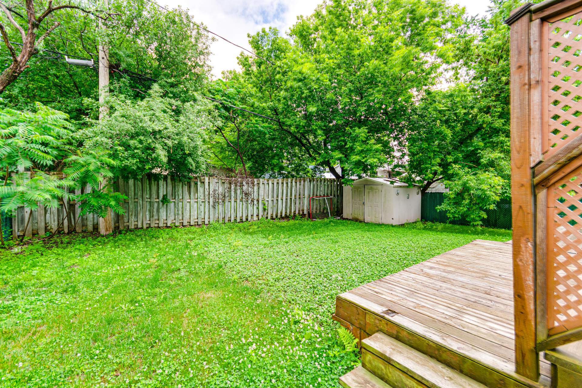 Backyard