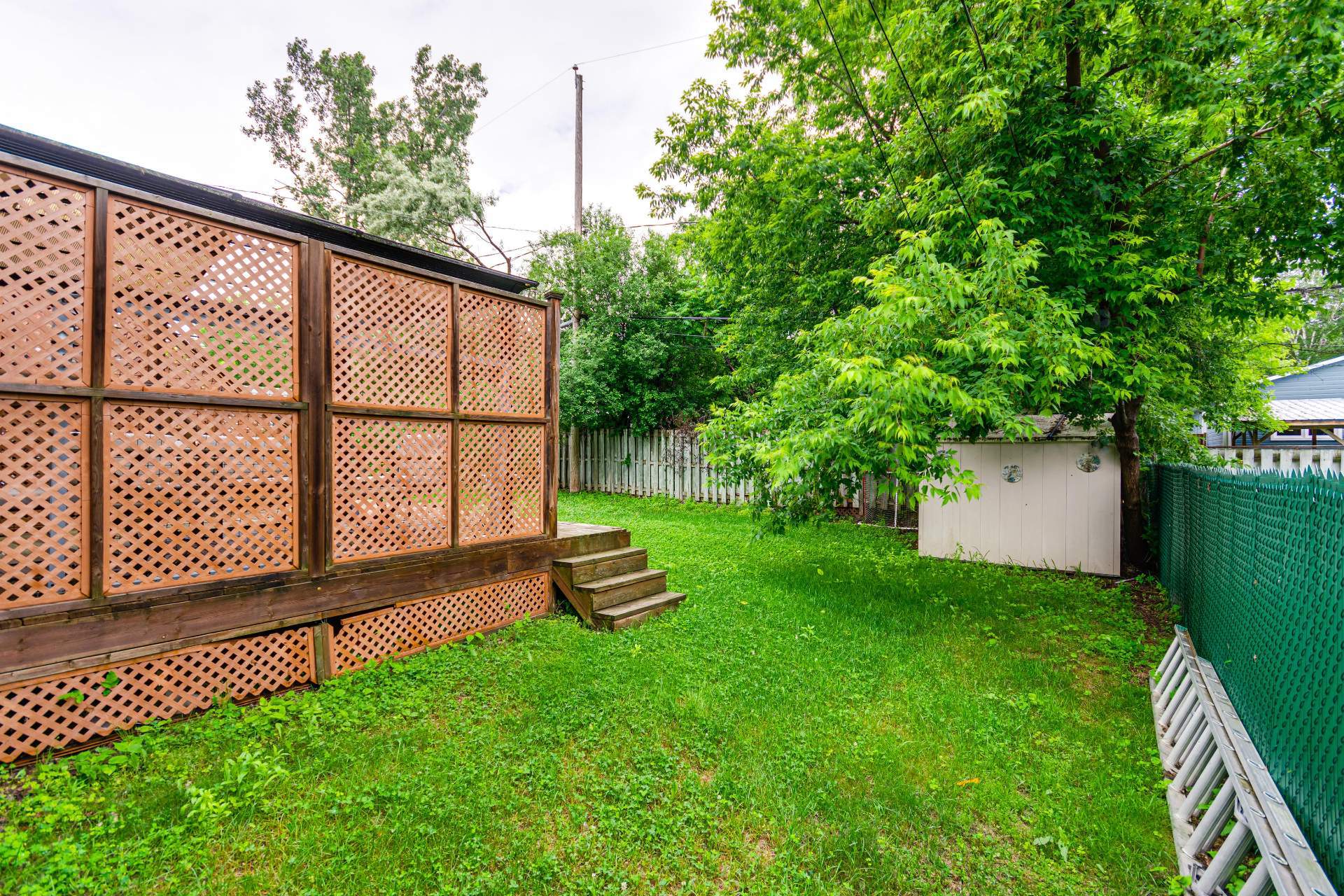 Backyard