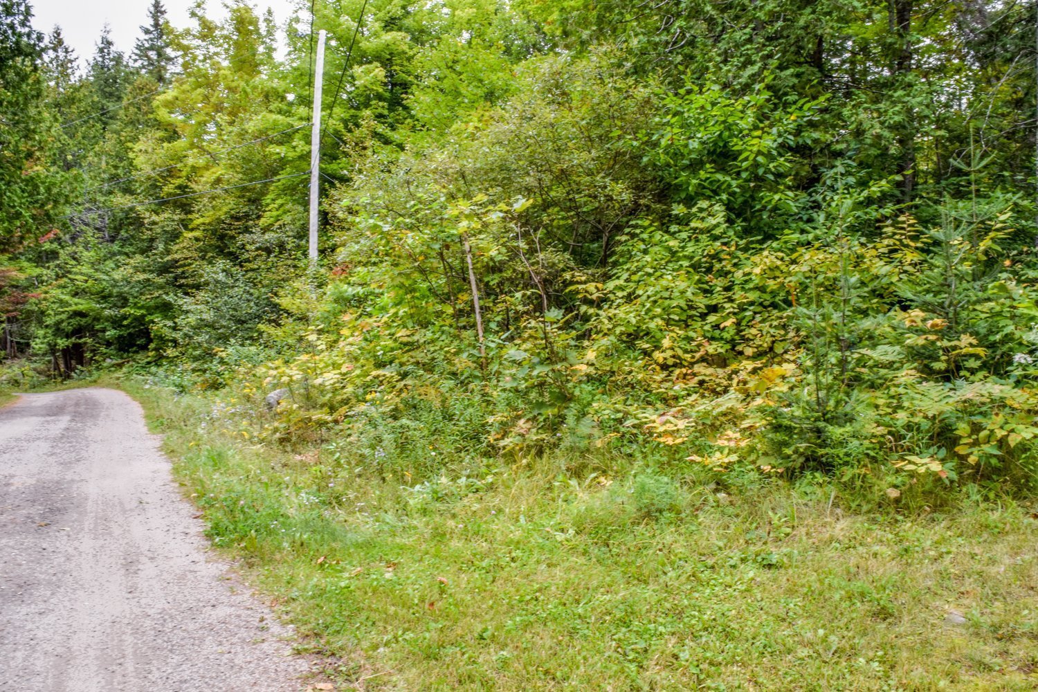 Land/Lot