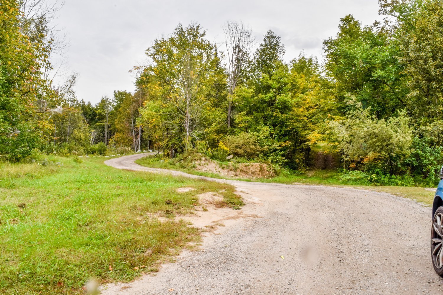 Land/Lot