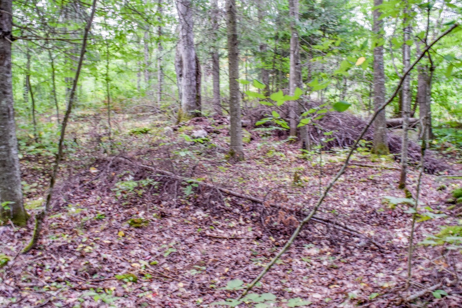 Land/Lot