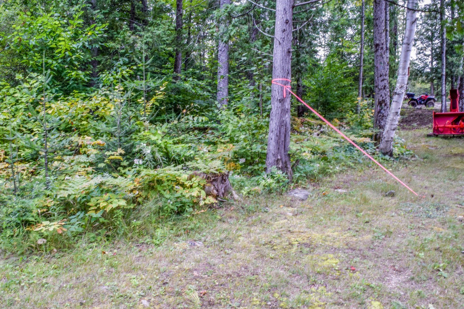 Land/Lot
