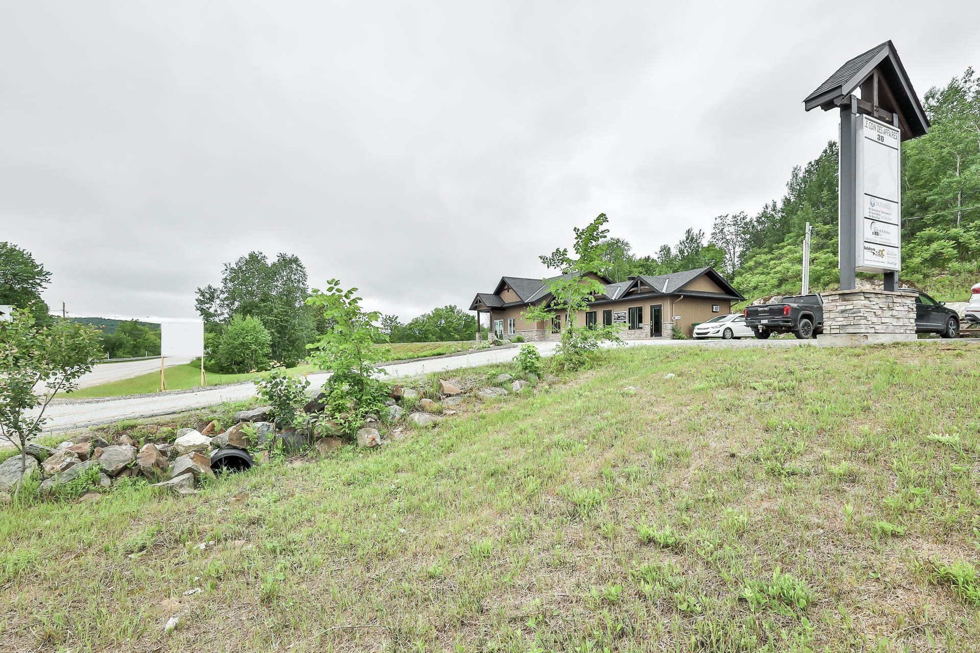 Overall View