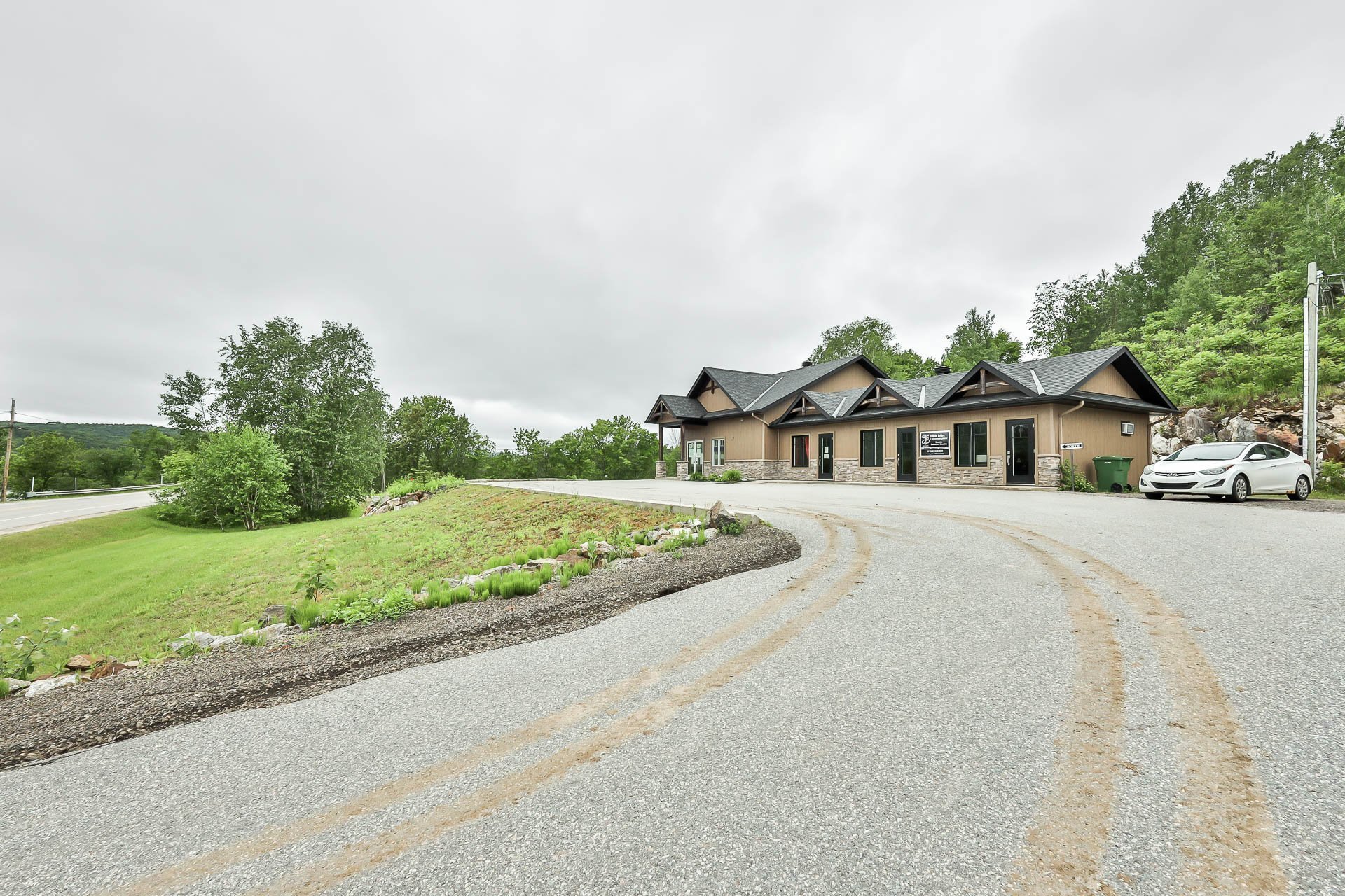 Overall View
