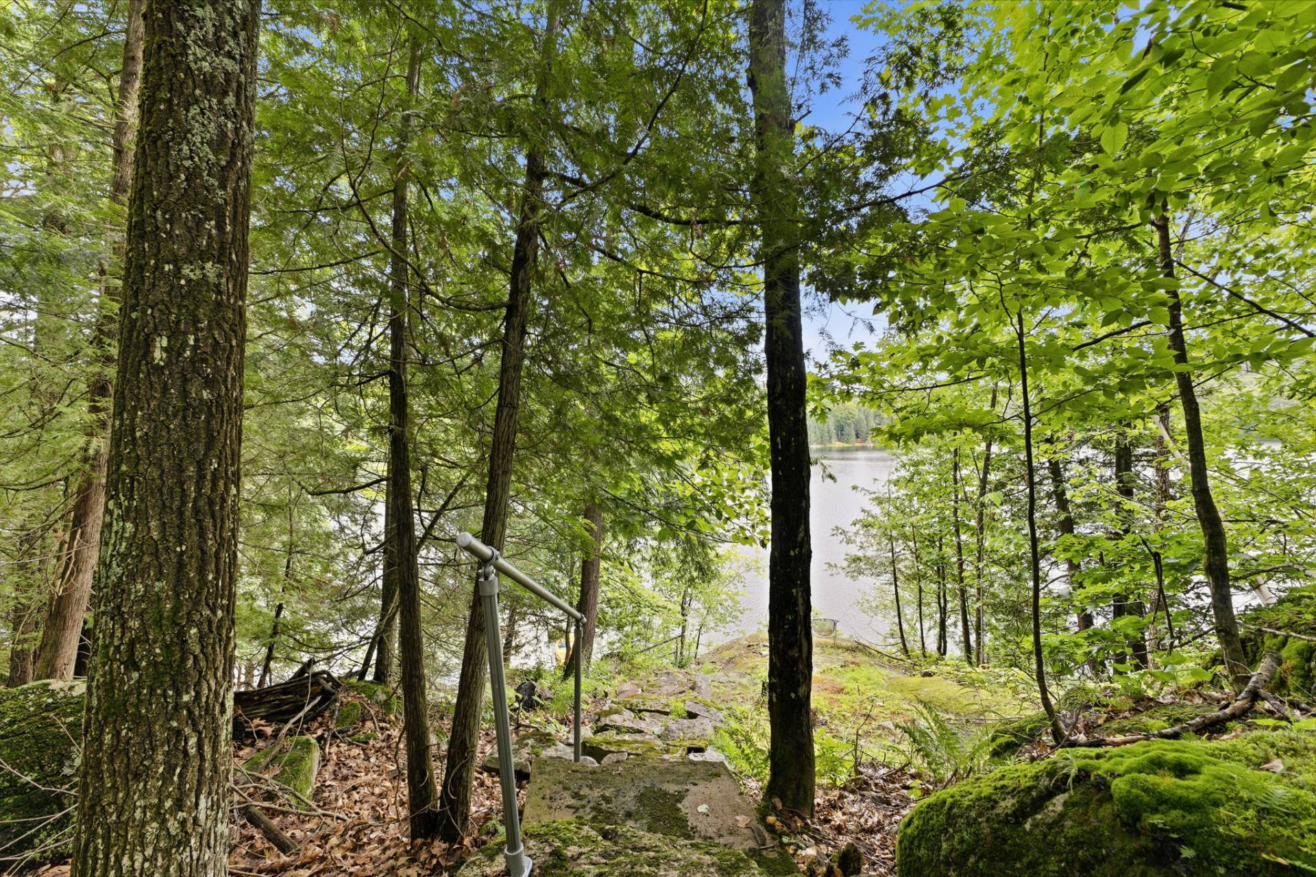 Land/Lot