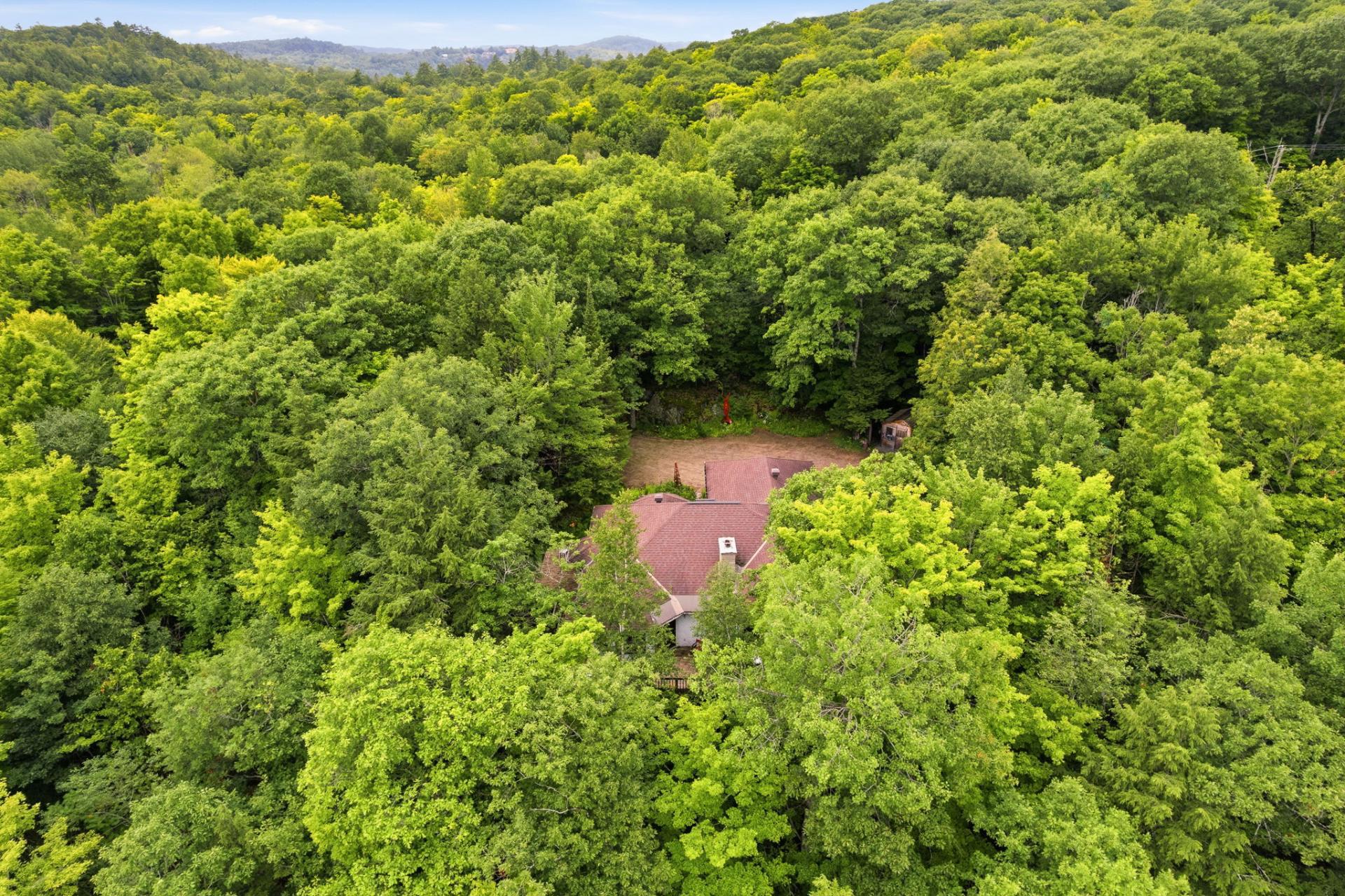 Aerial photo