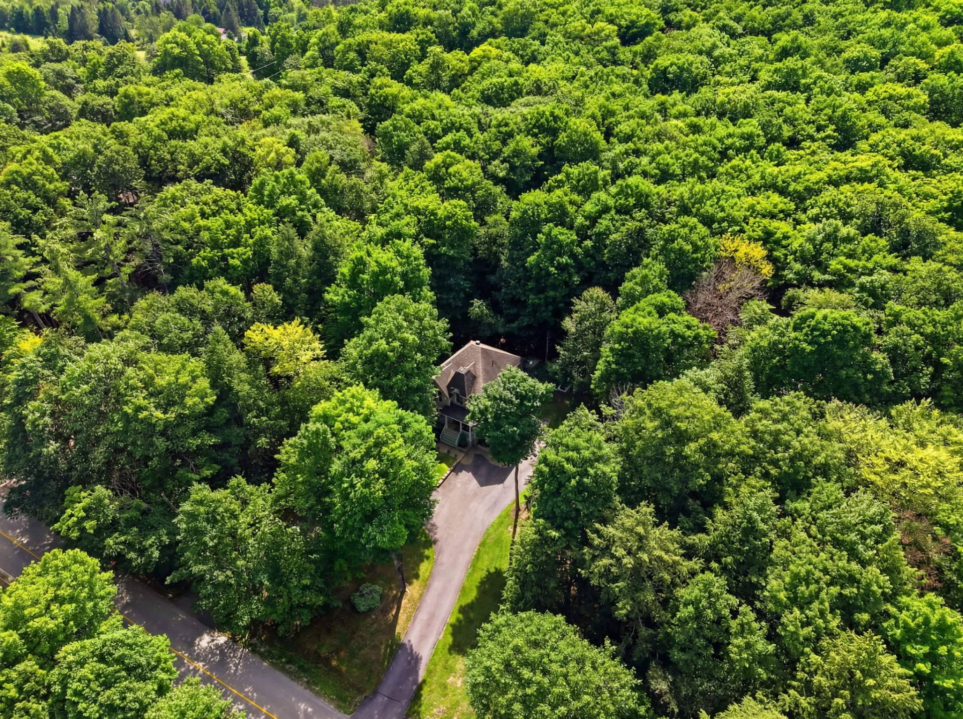Aerial photo