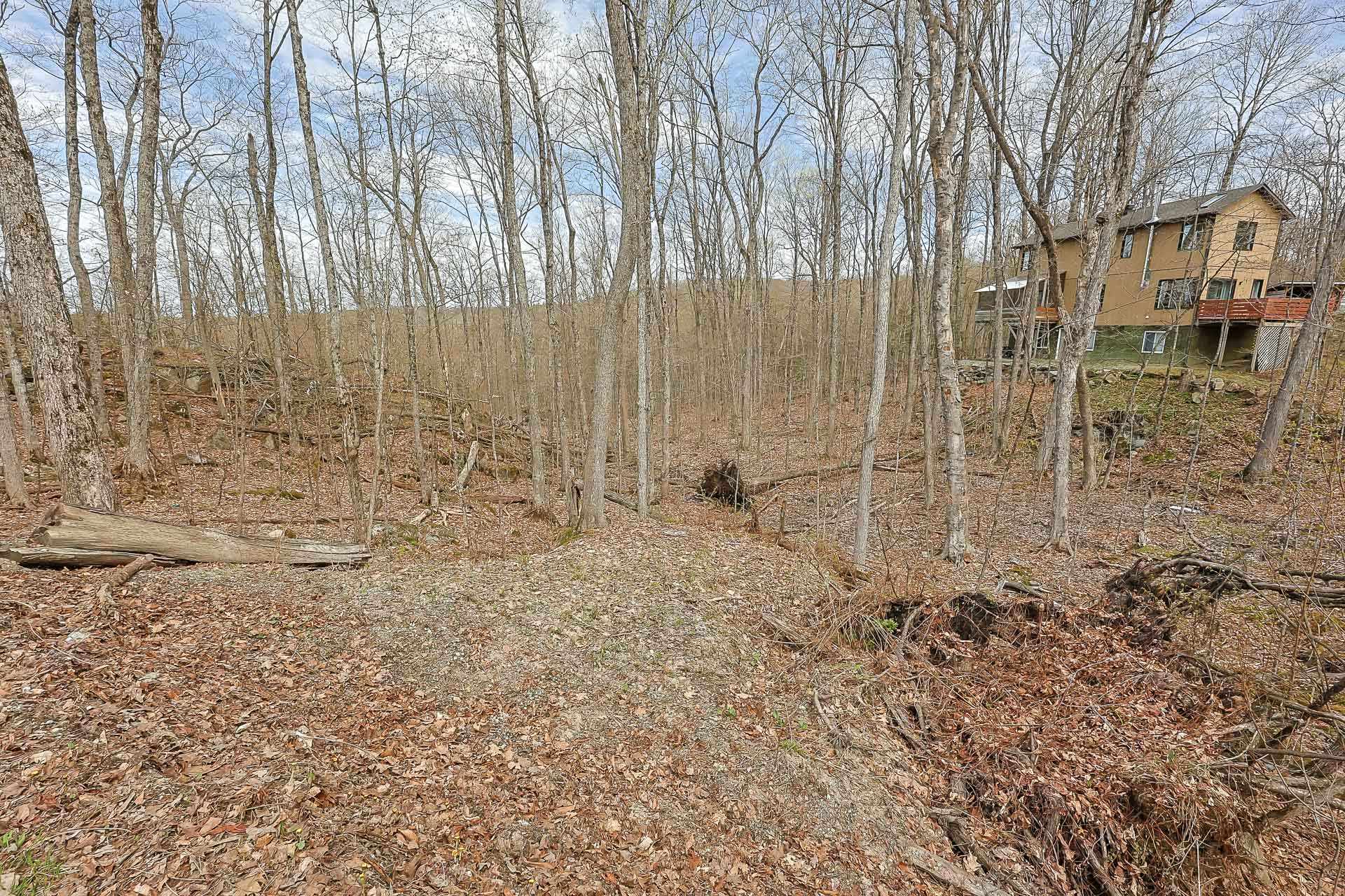 Land/Lot