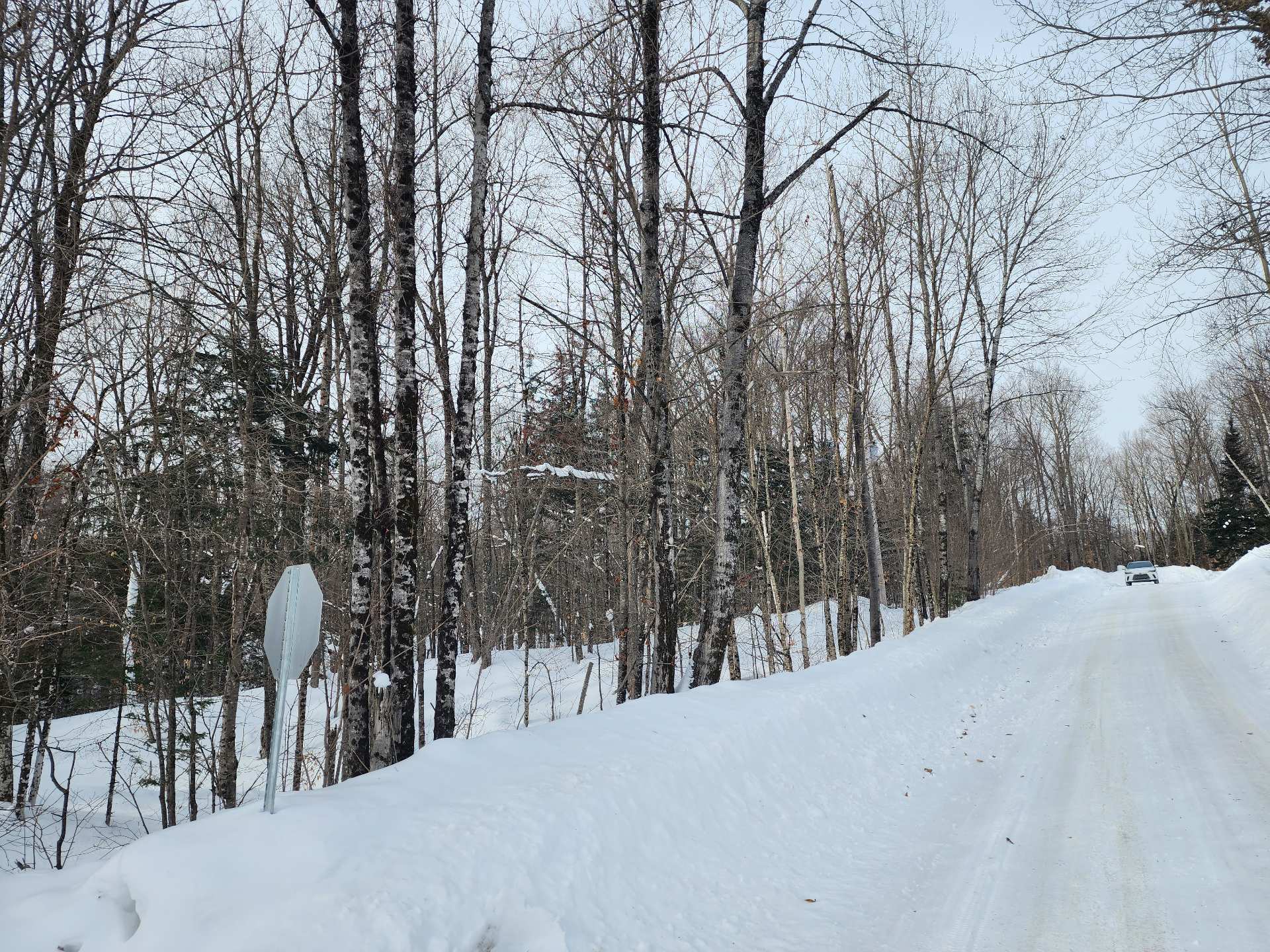 32 Allée des Pluviers 