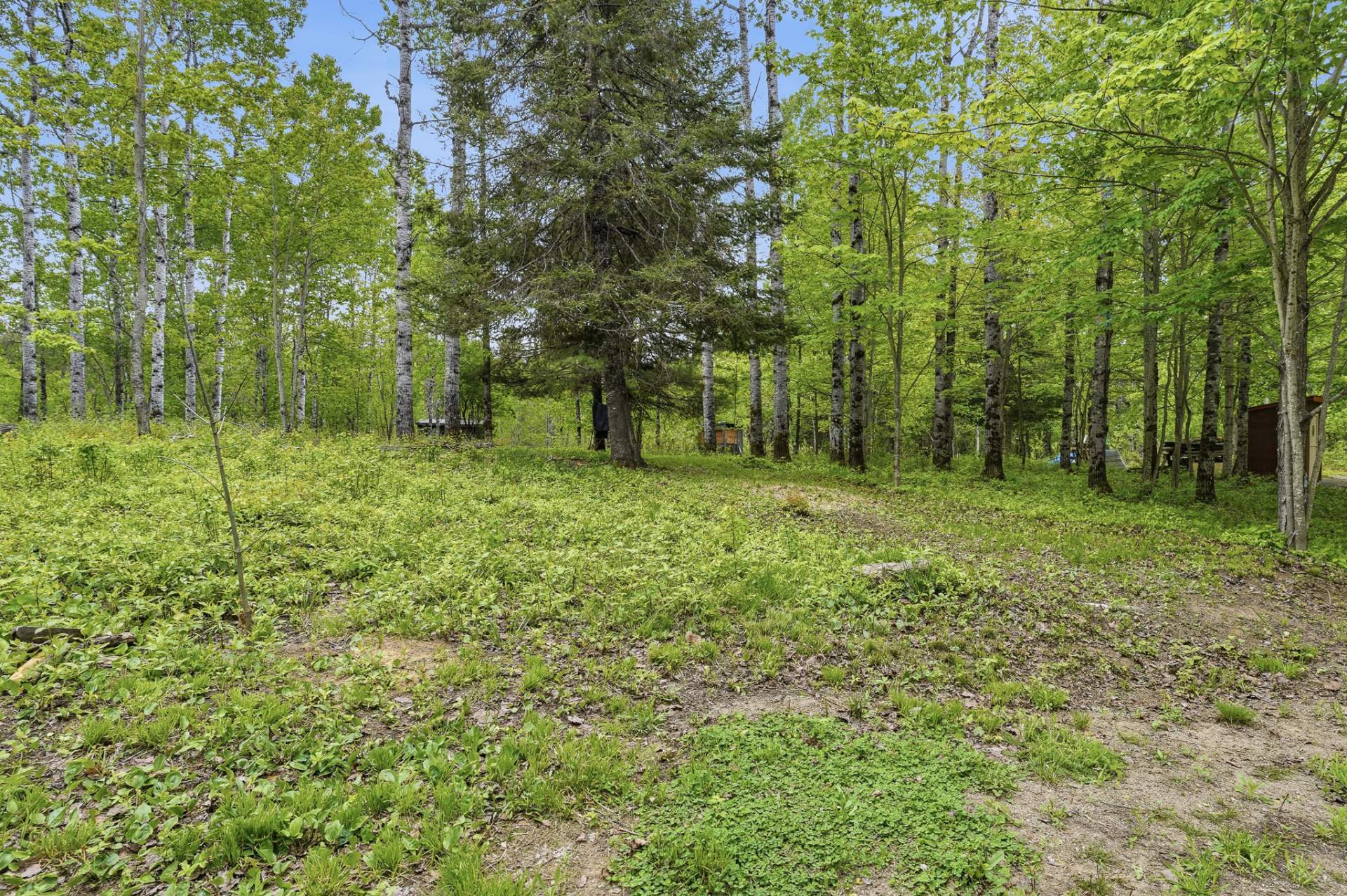Land/Lot