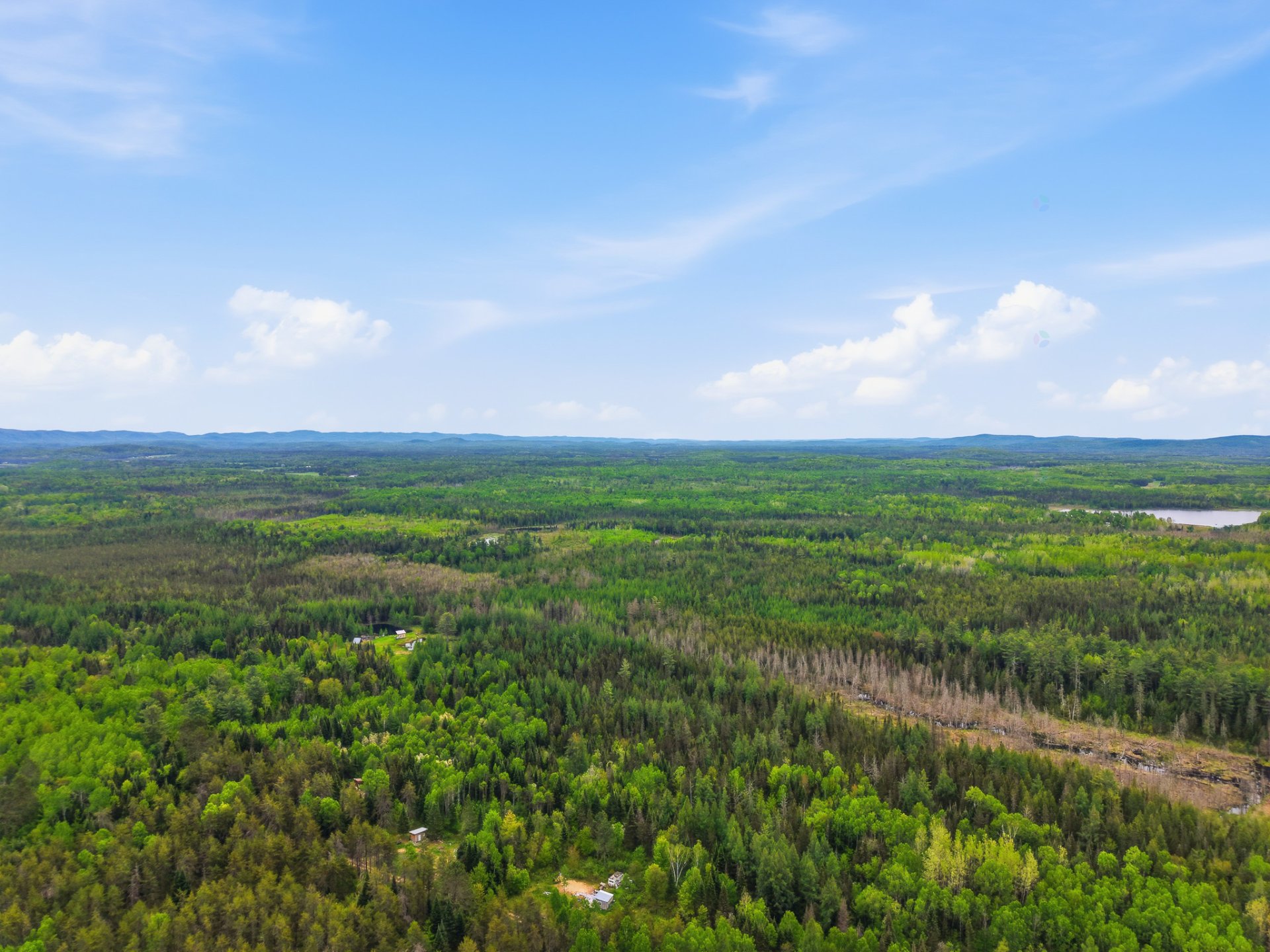 Aerial photo