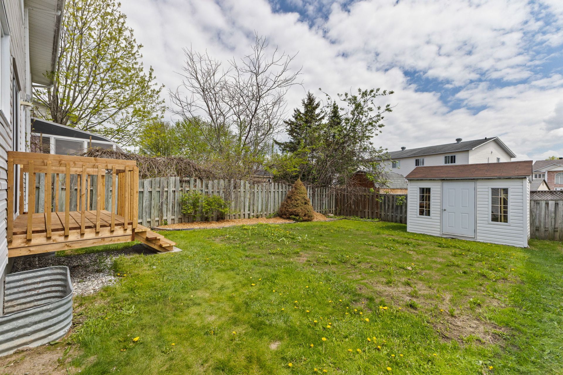 Backyard