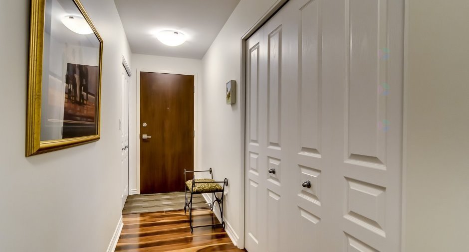 Hall d'entrée/Vestibule