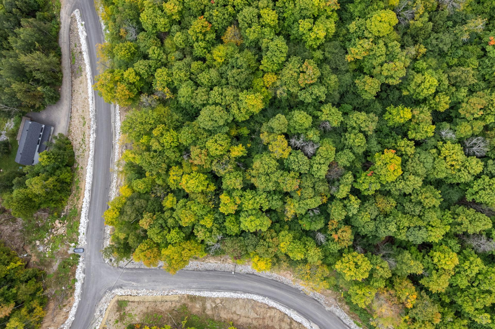 Aerial photo