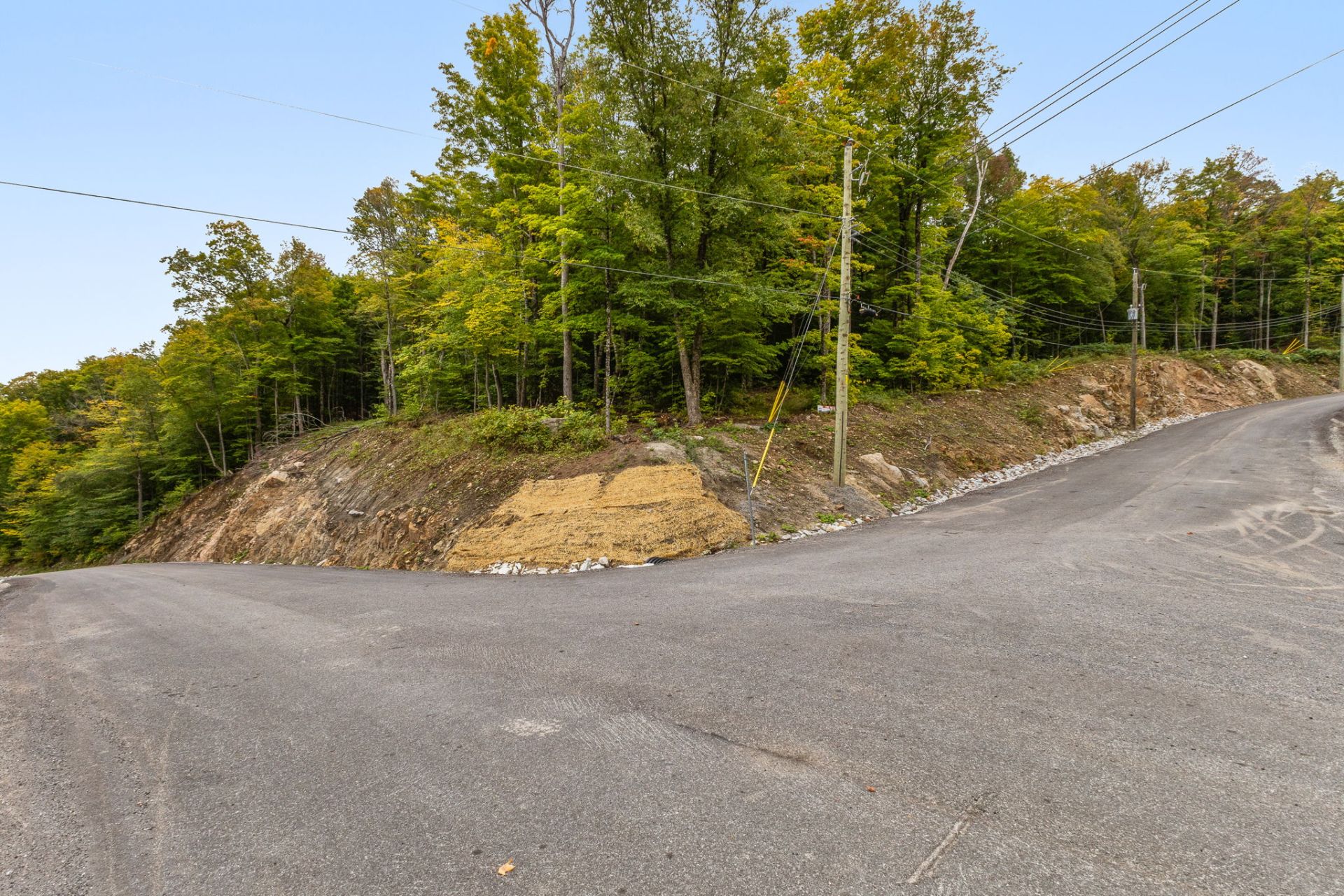 Land/Lot
