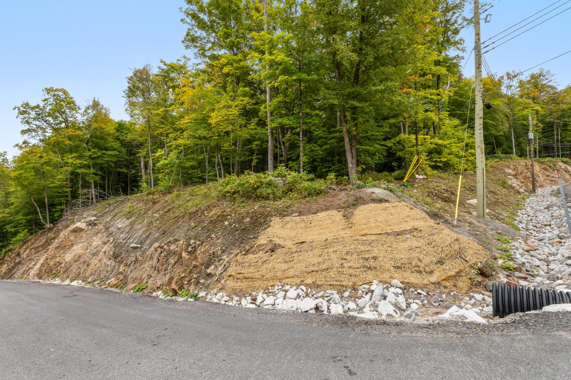 Land/Lot