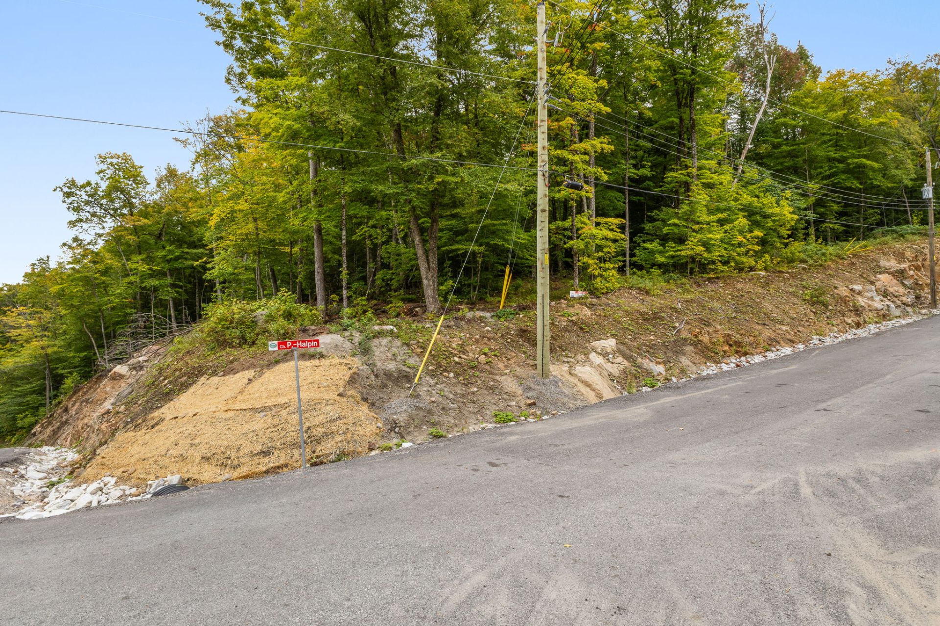 Land/Lot
