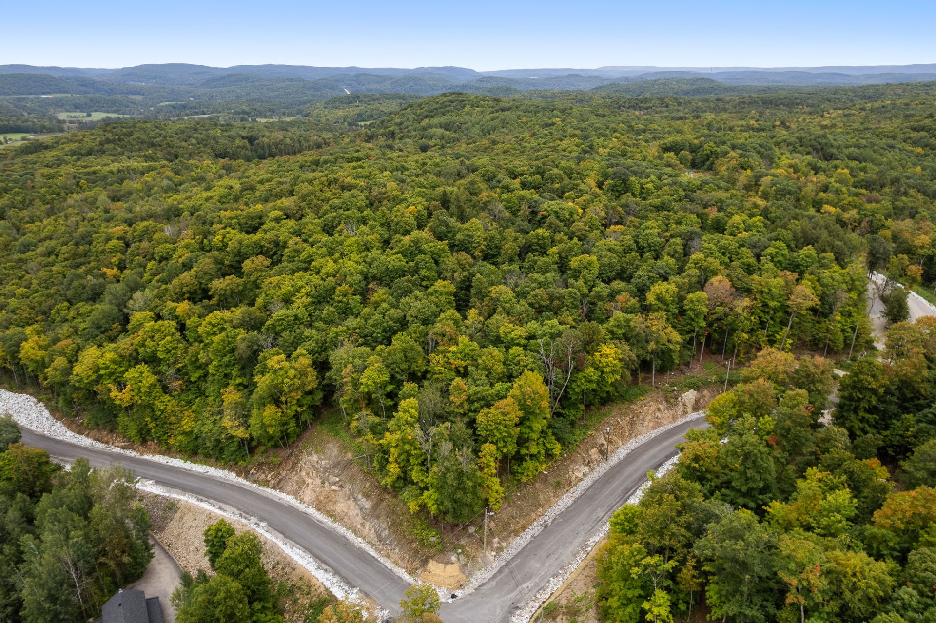 Aerial photo