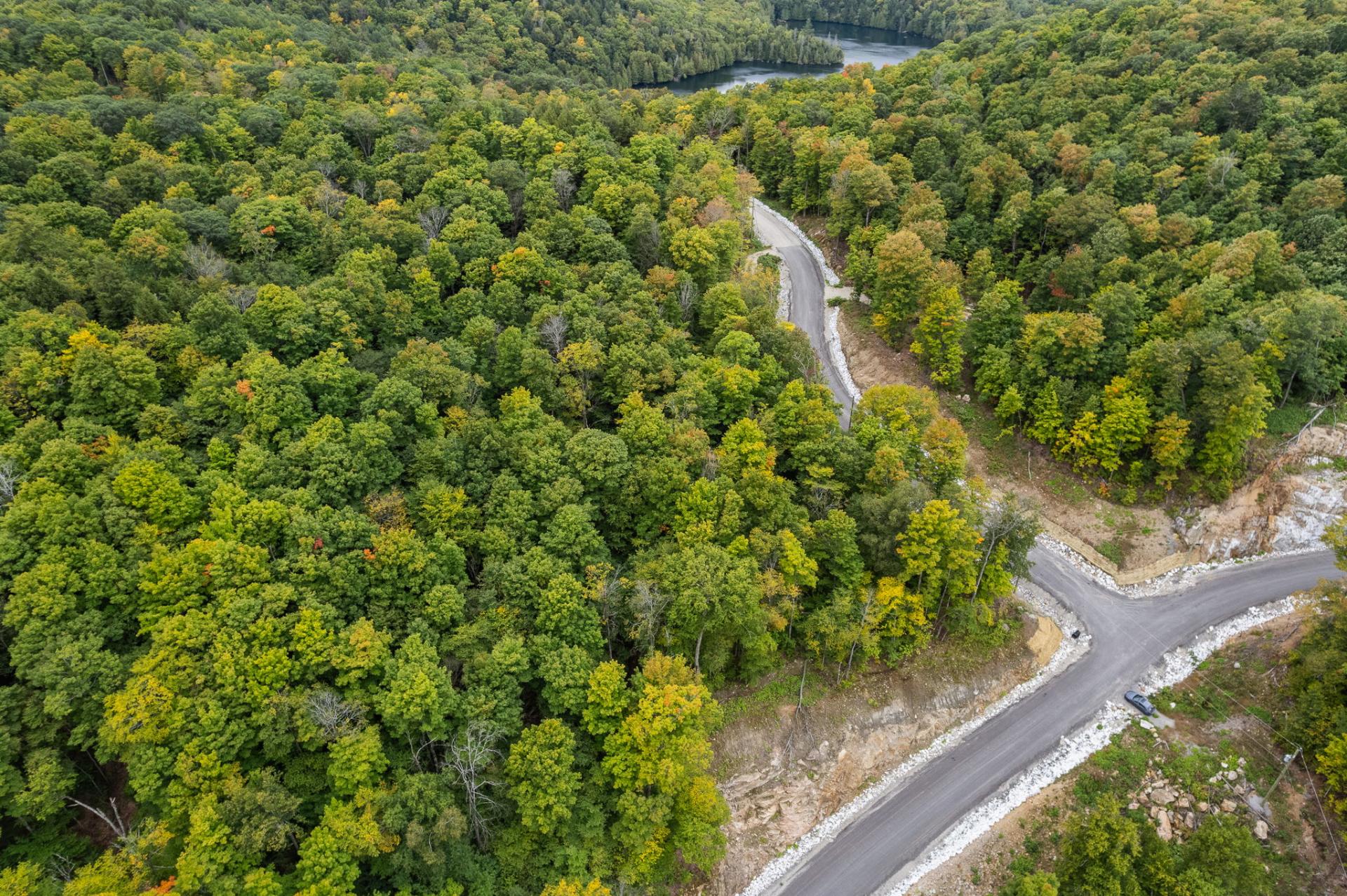 Aerial photo