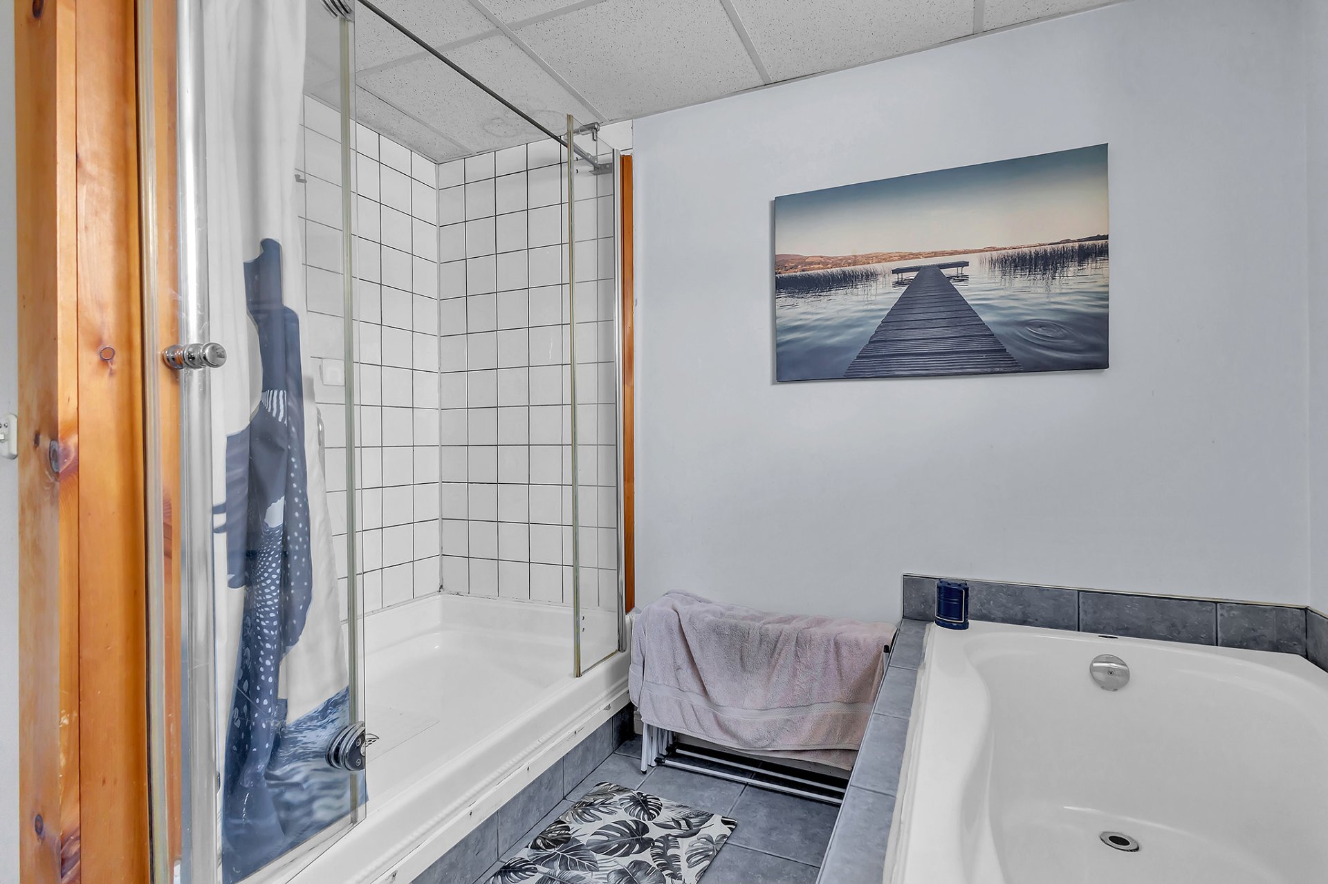 Bathroom - Basement apartment