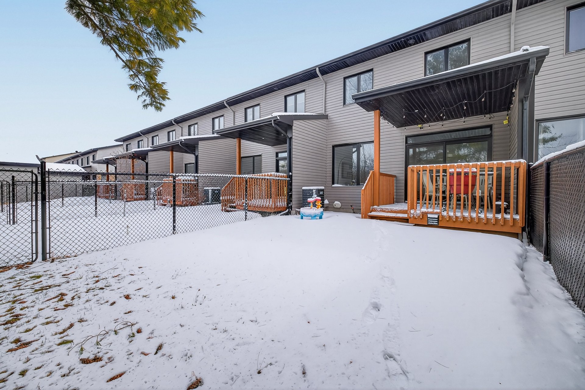 Backyard - covered patio