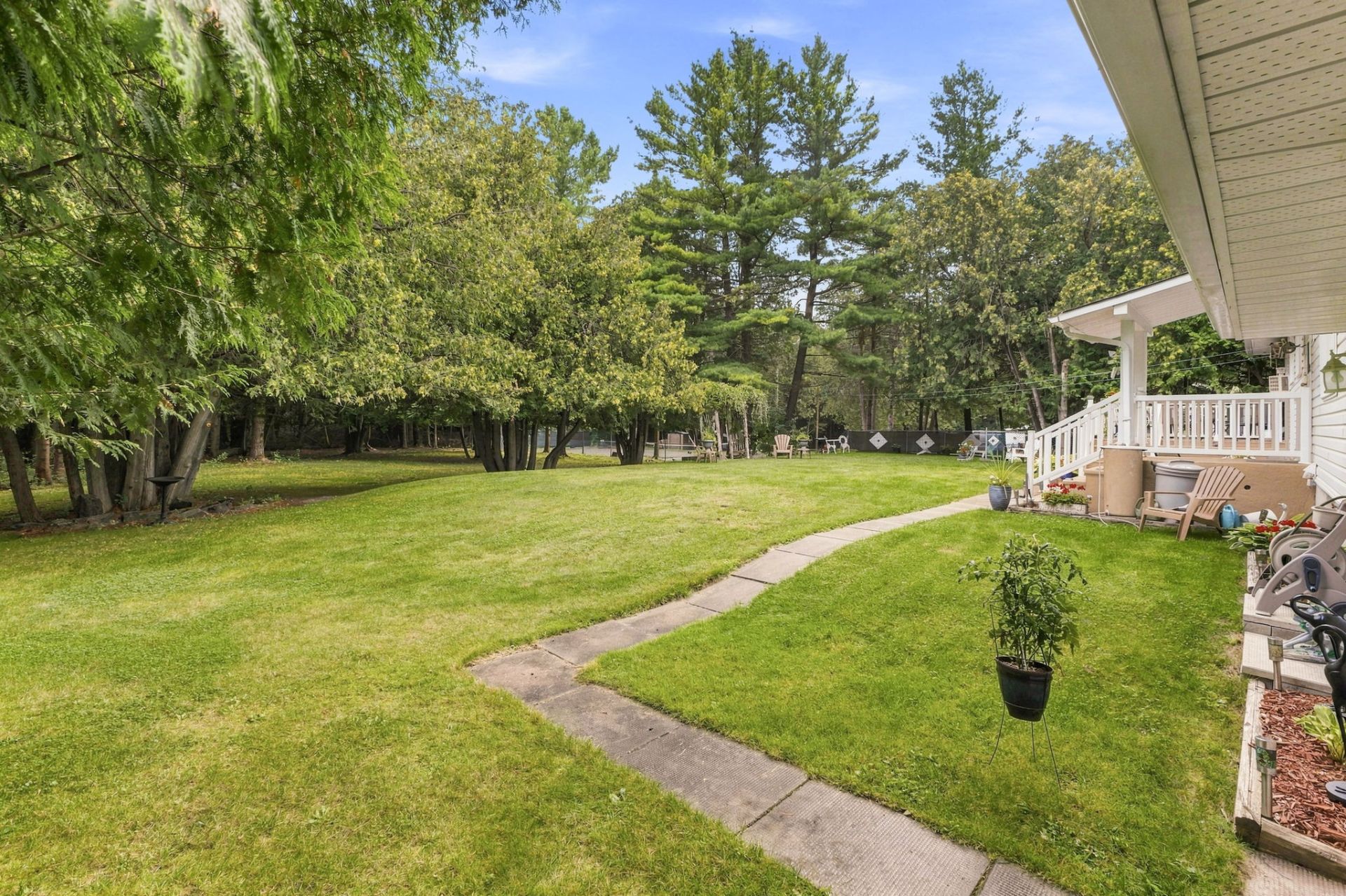 Backyard