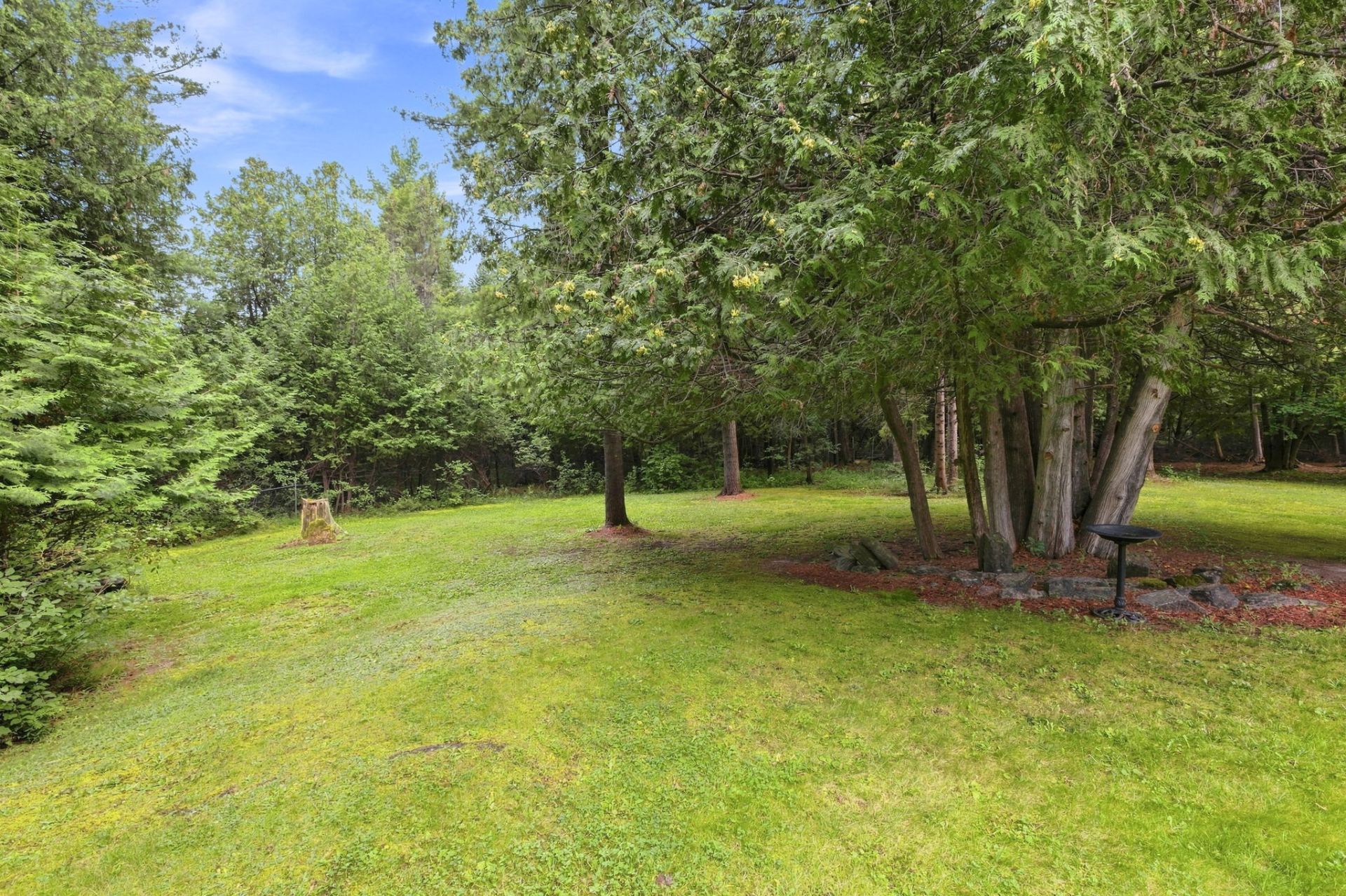 Wooded area