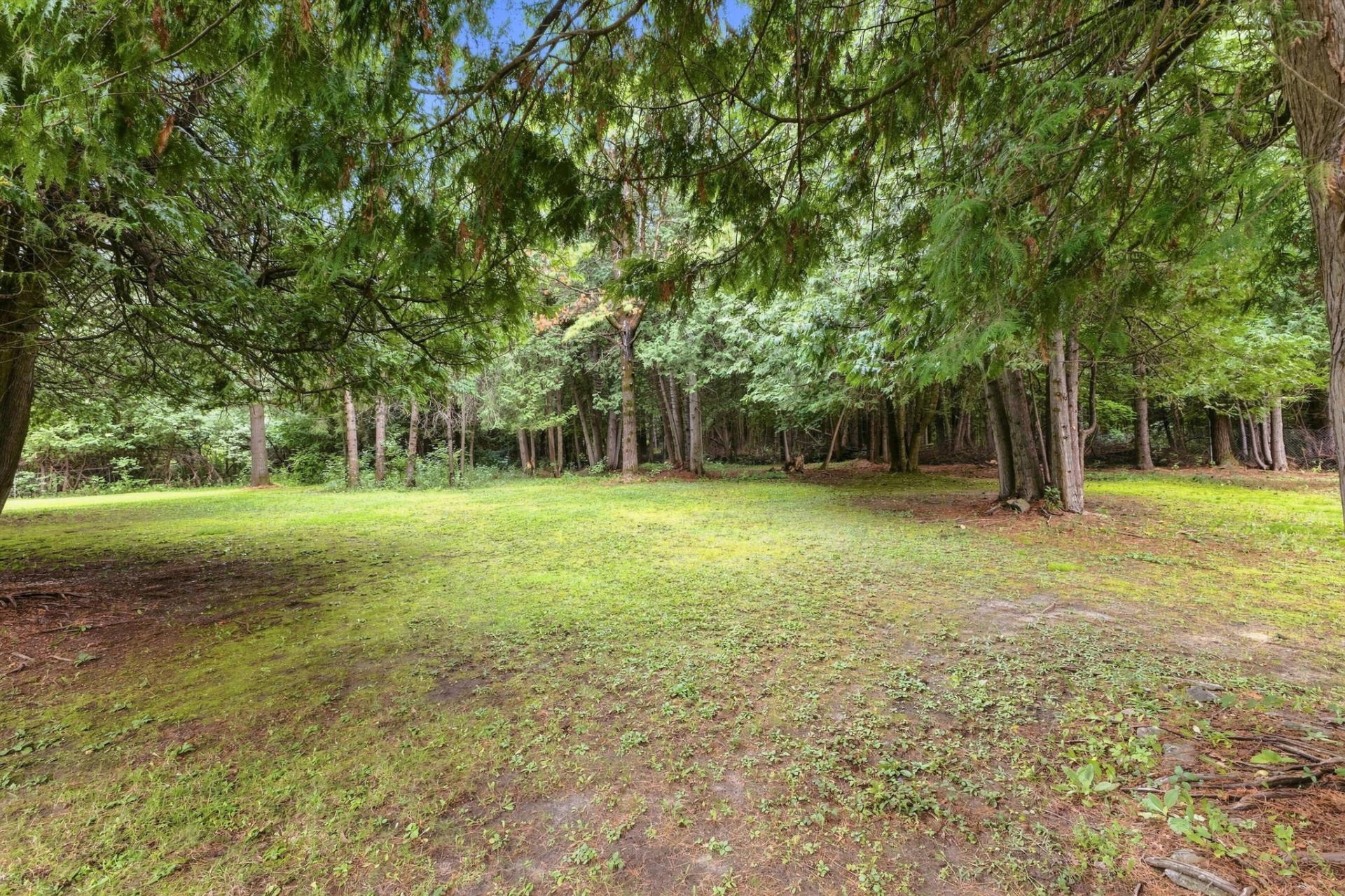 Wooded area