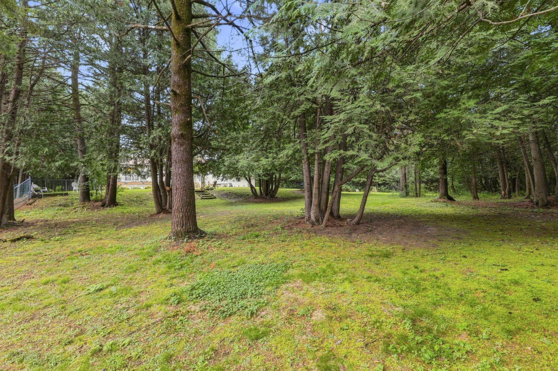 Wooded area