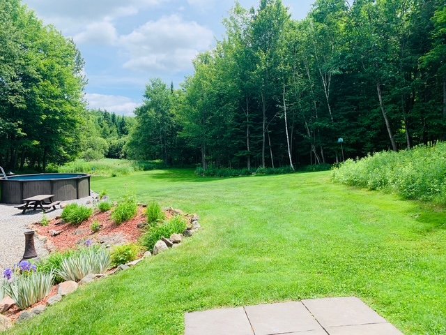 Cour - Photo d'été du client