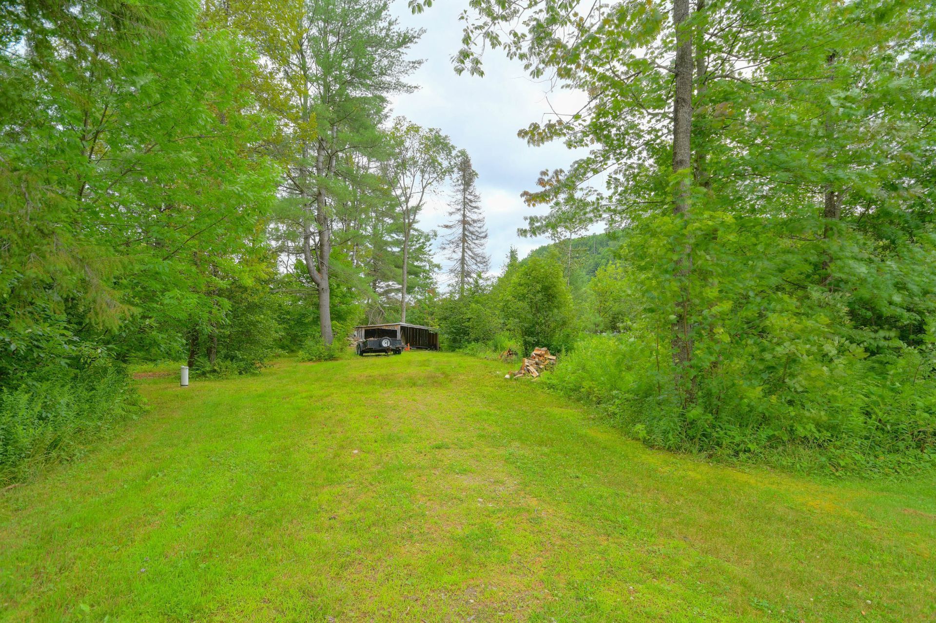 Wooded area