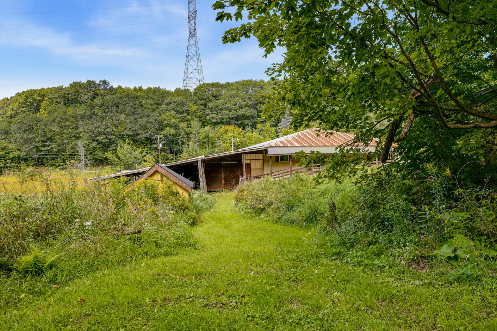 Overall view