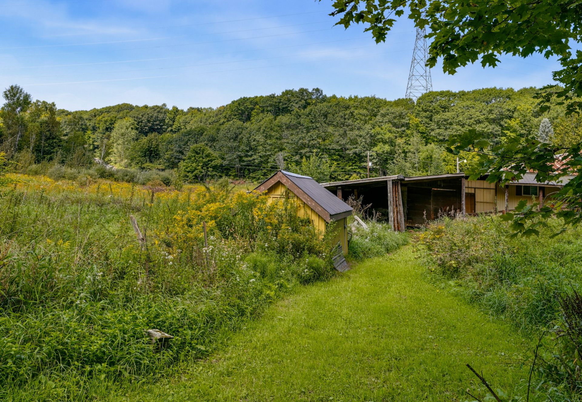 Overall view