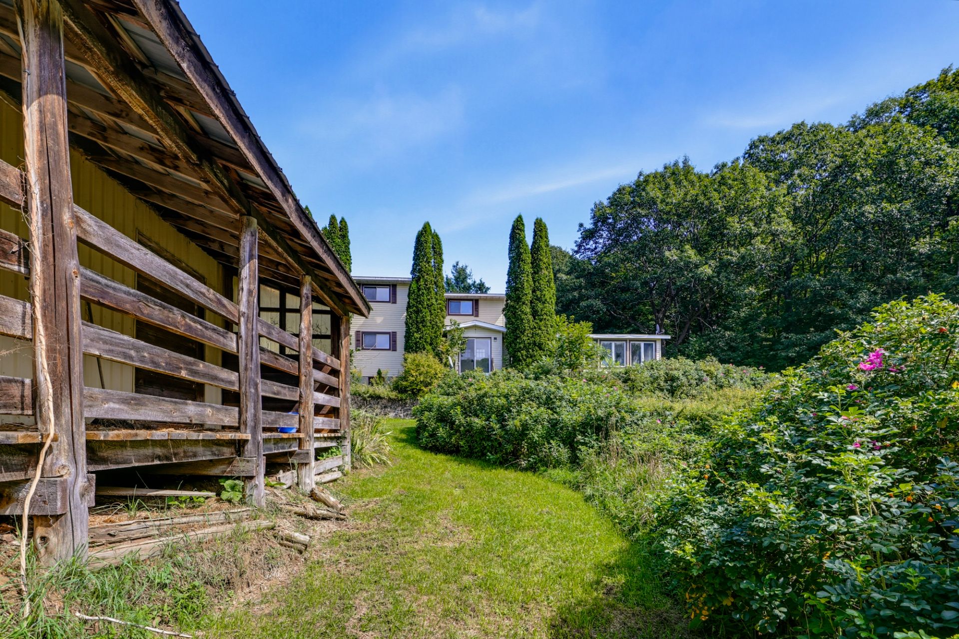 Overall view