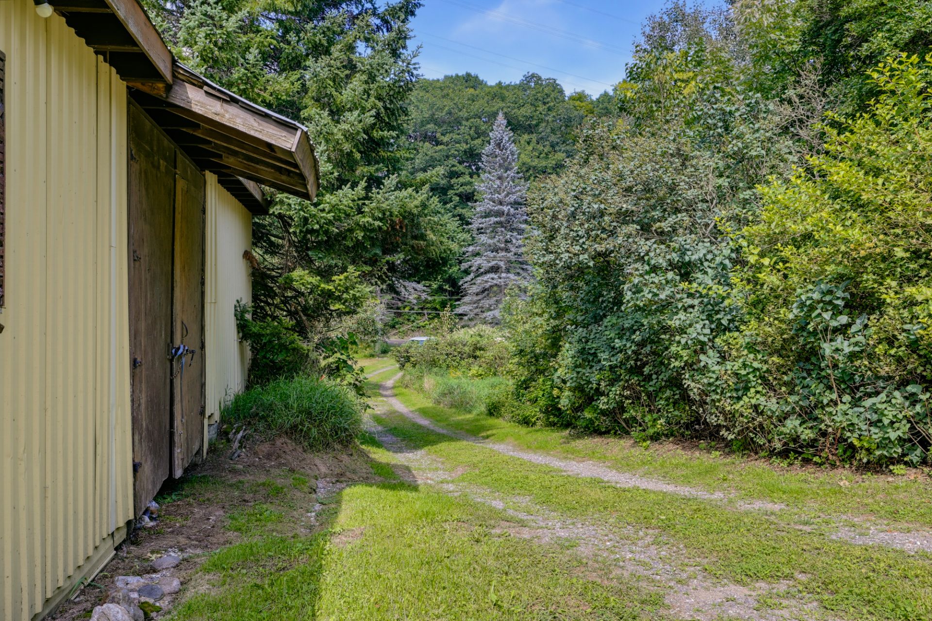 Overall view
