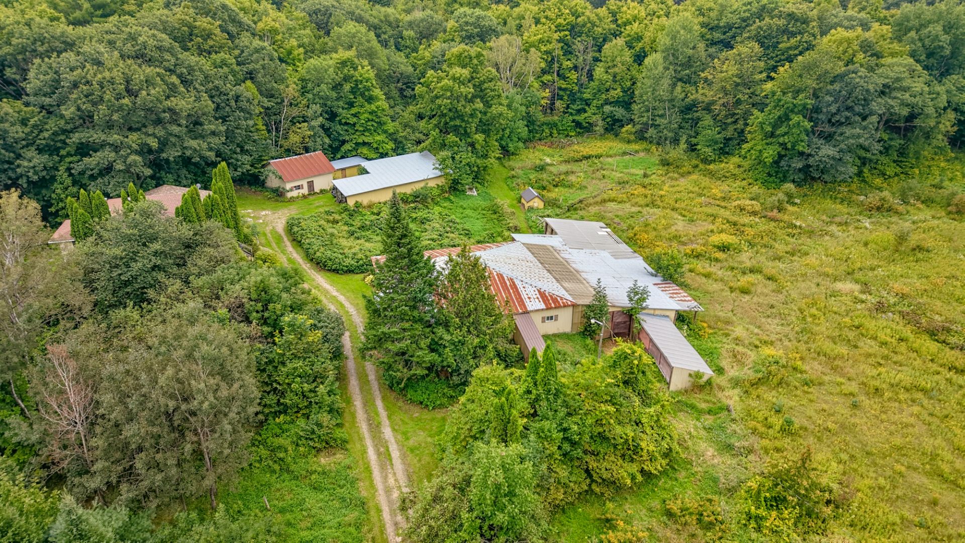 Aerial photo