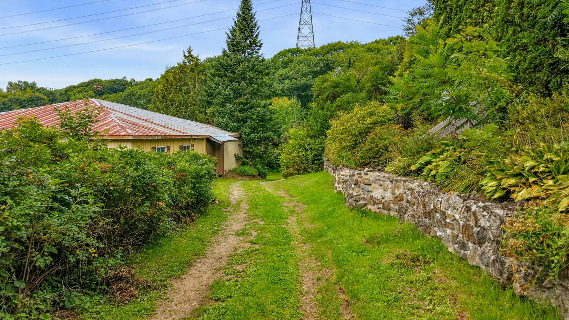 Overall view