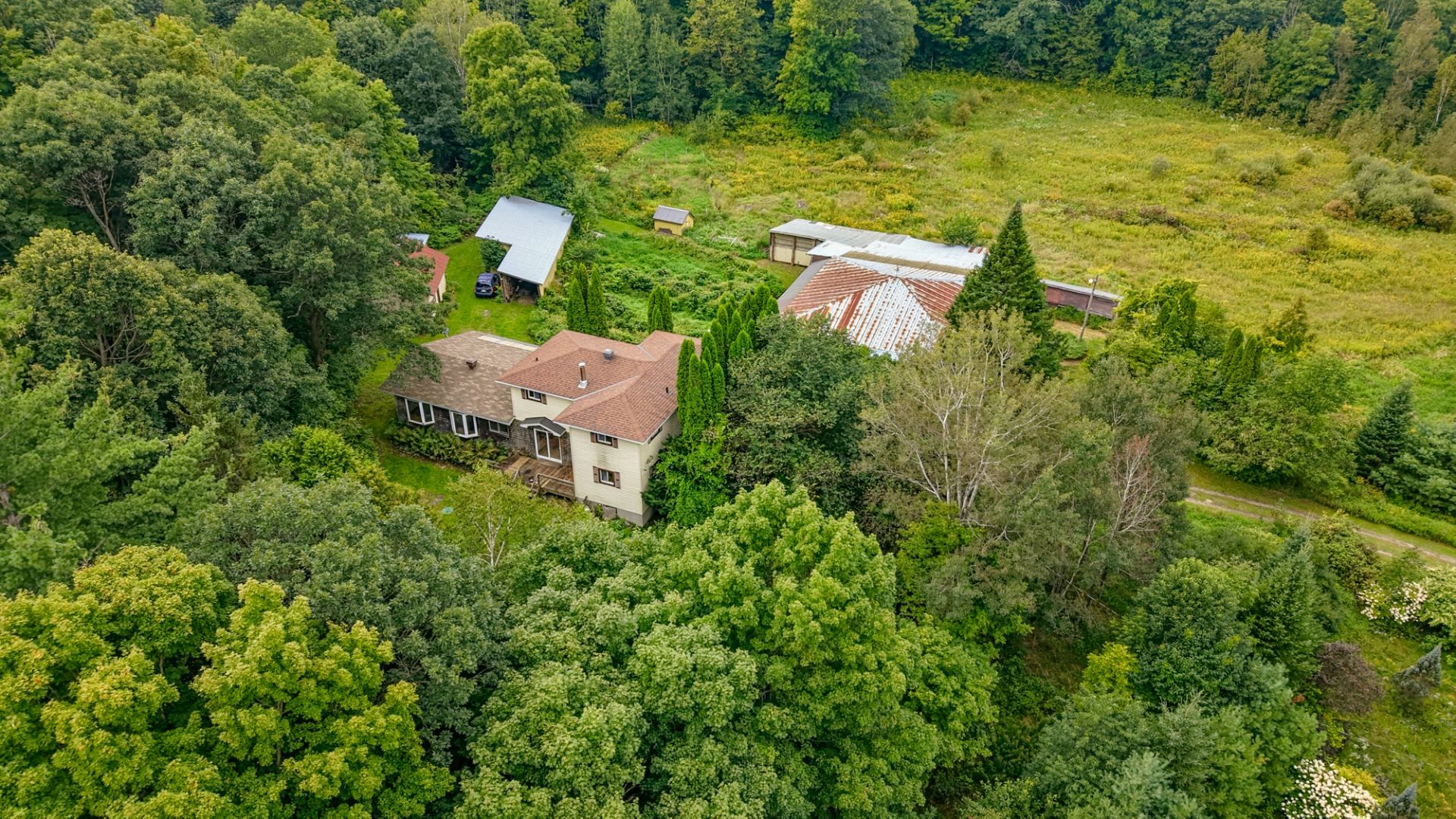 Overall view