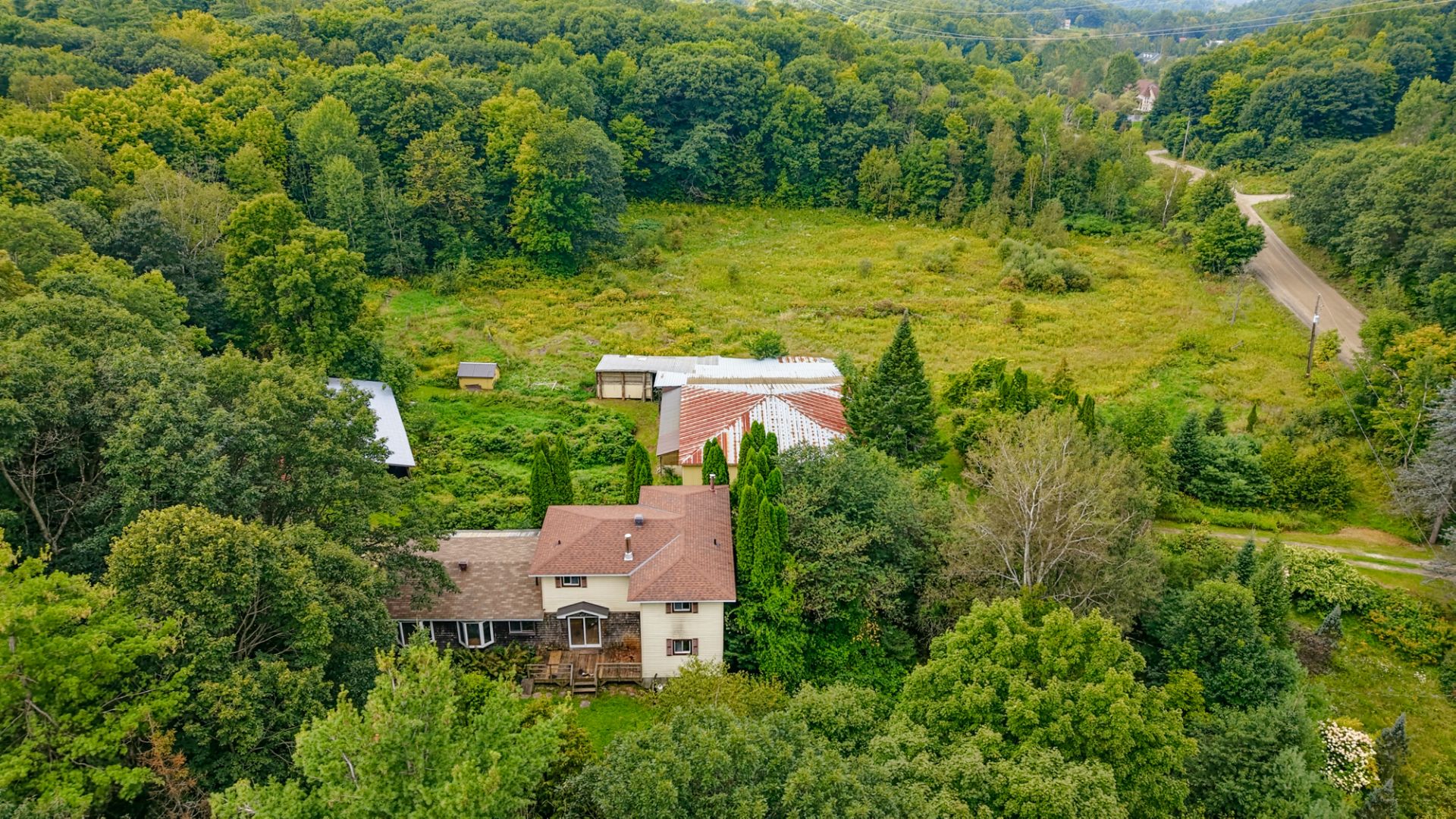 Overall view