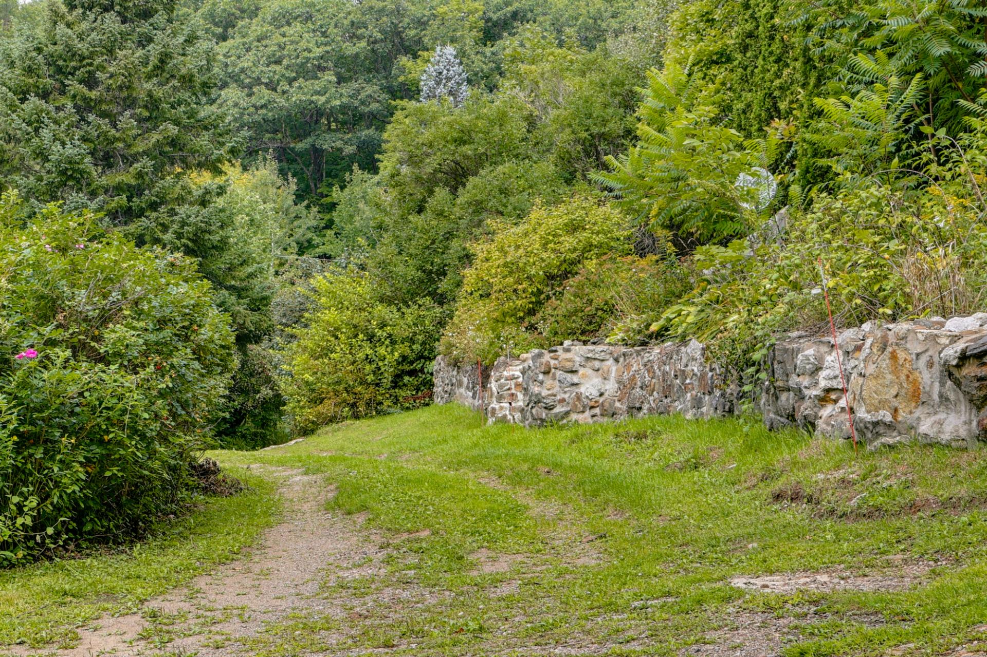 Overall view