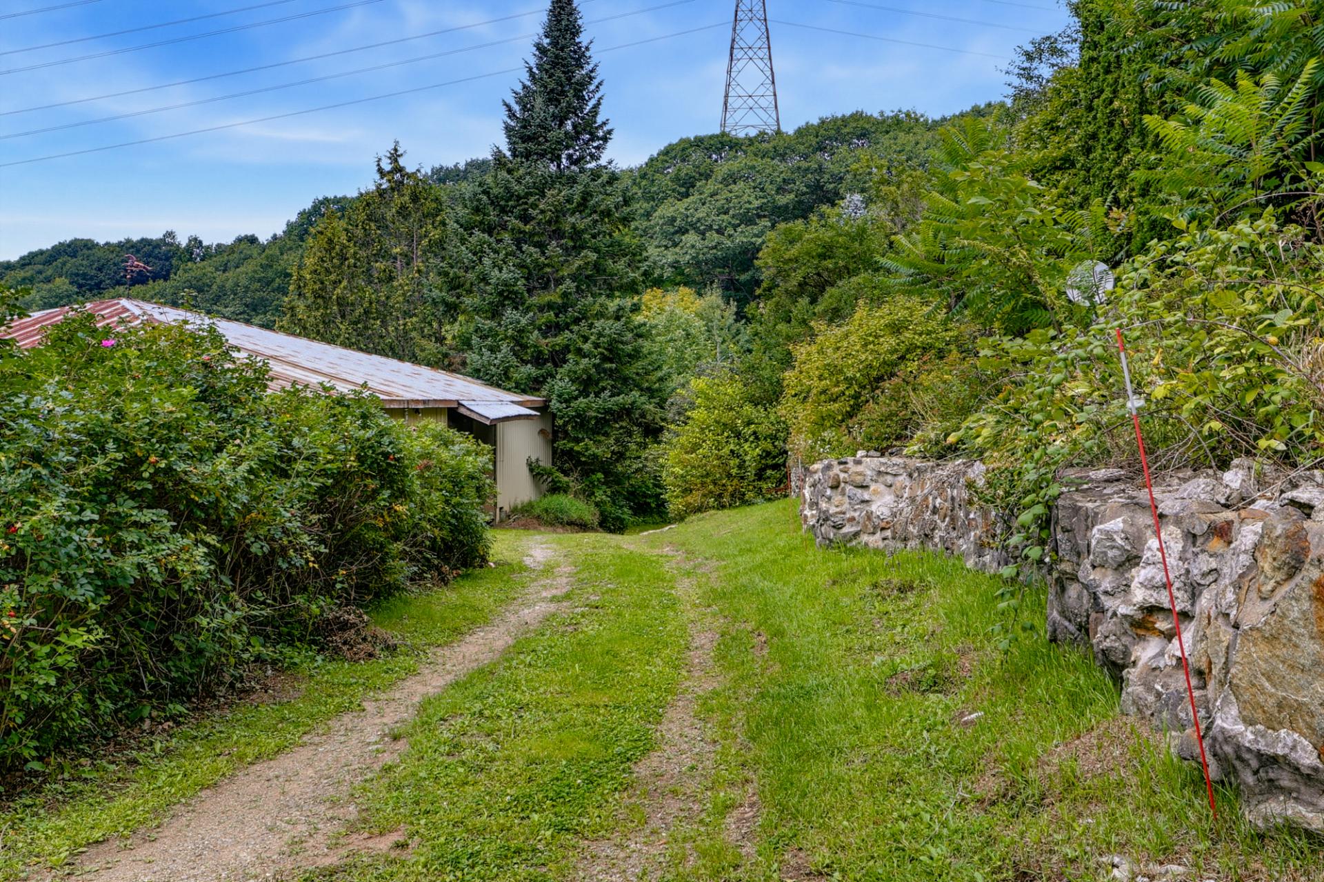 Overall view