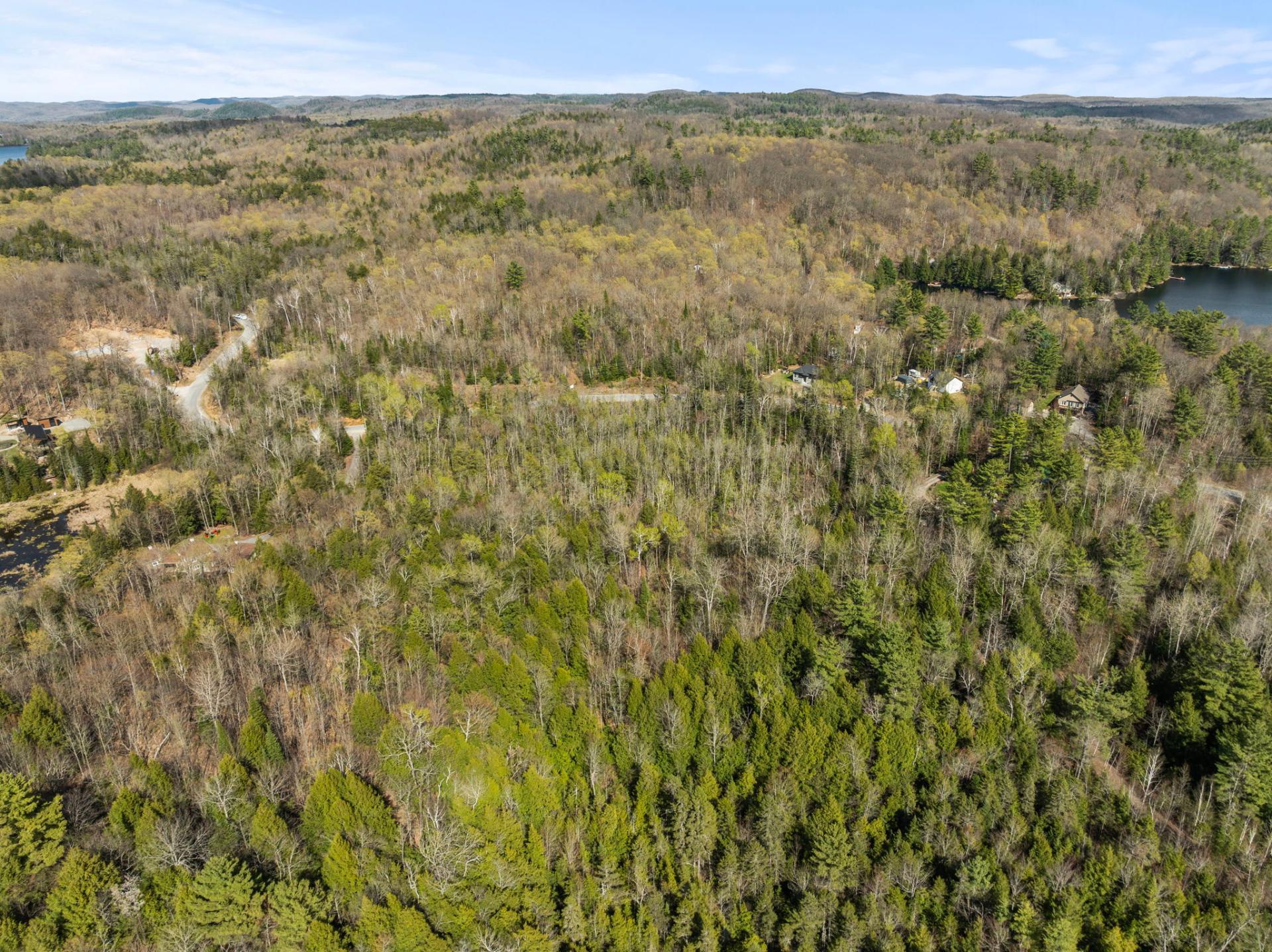 Land/Lot